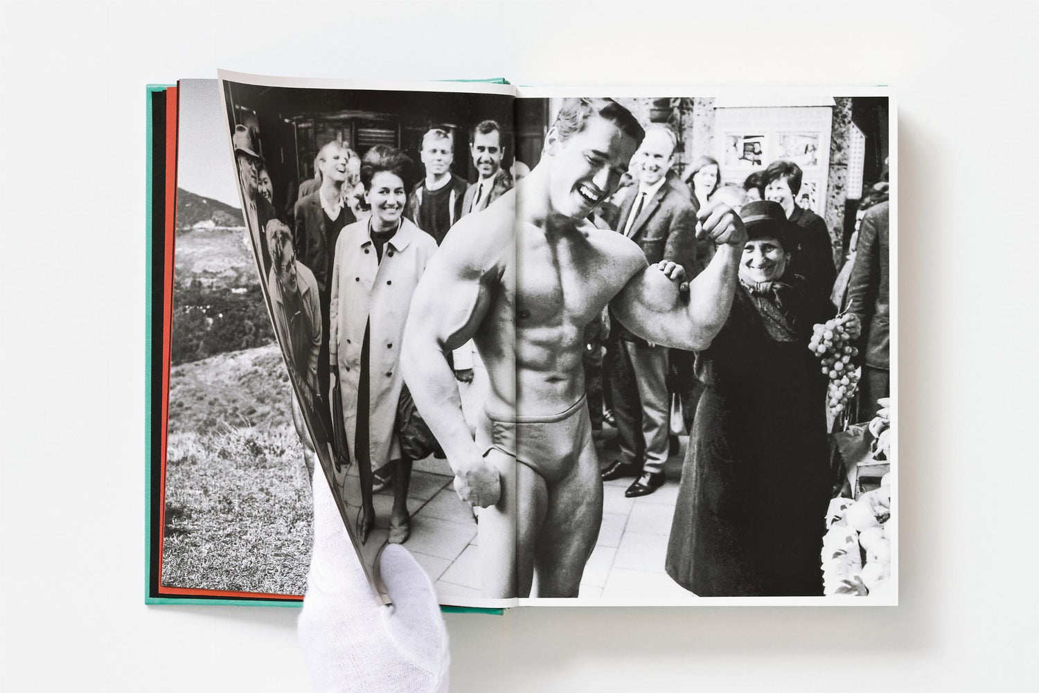 ARNOLD. Capitello Edition en XXL, edición limitada
