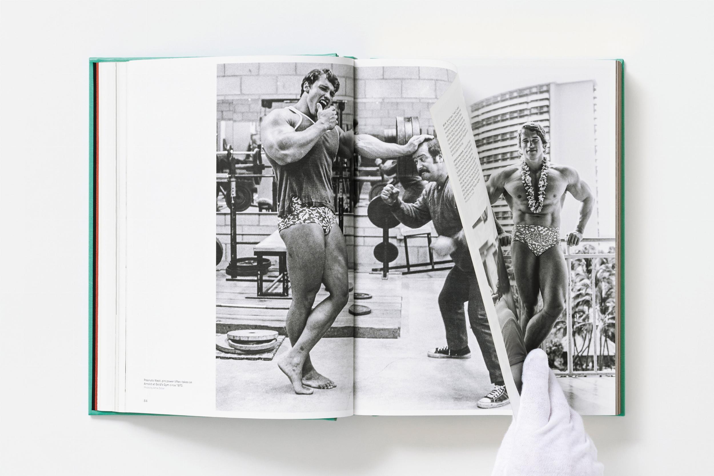 ARNOLD. Capitello Edition en XXL, edición limitada