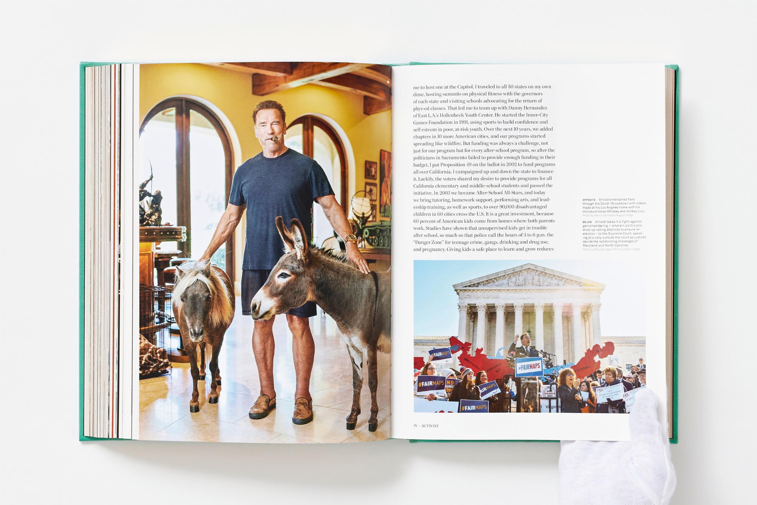 ARNOLD. Capitello Edition en XXL, edición limitada