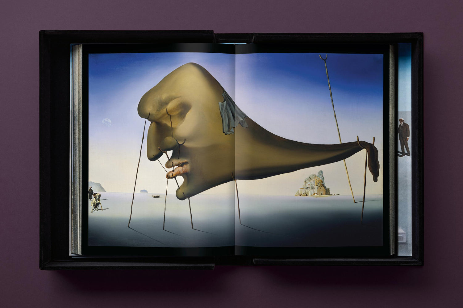 Salvador Dalí. BABY SUMO (Englische Ausgabe) von Taschen Verlag.
Ein opulentes Monument für einen der größten Künstler des 20. Jahrhunderts.