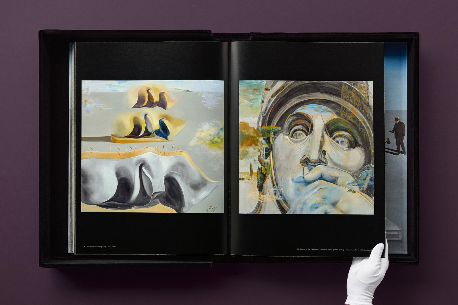 Salvador Dalí. BABY SUMO (Englische Ausgabe) von Taschen Verlag.
Ein opulentes Monument für einen der größten Künstler des 20. Jahrhunderts.