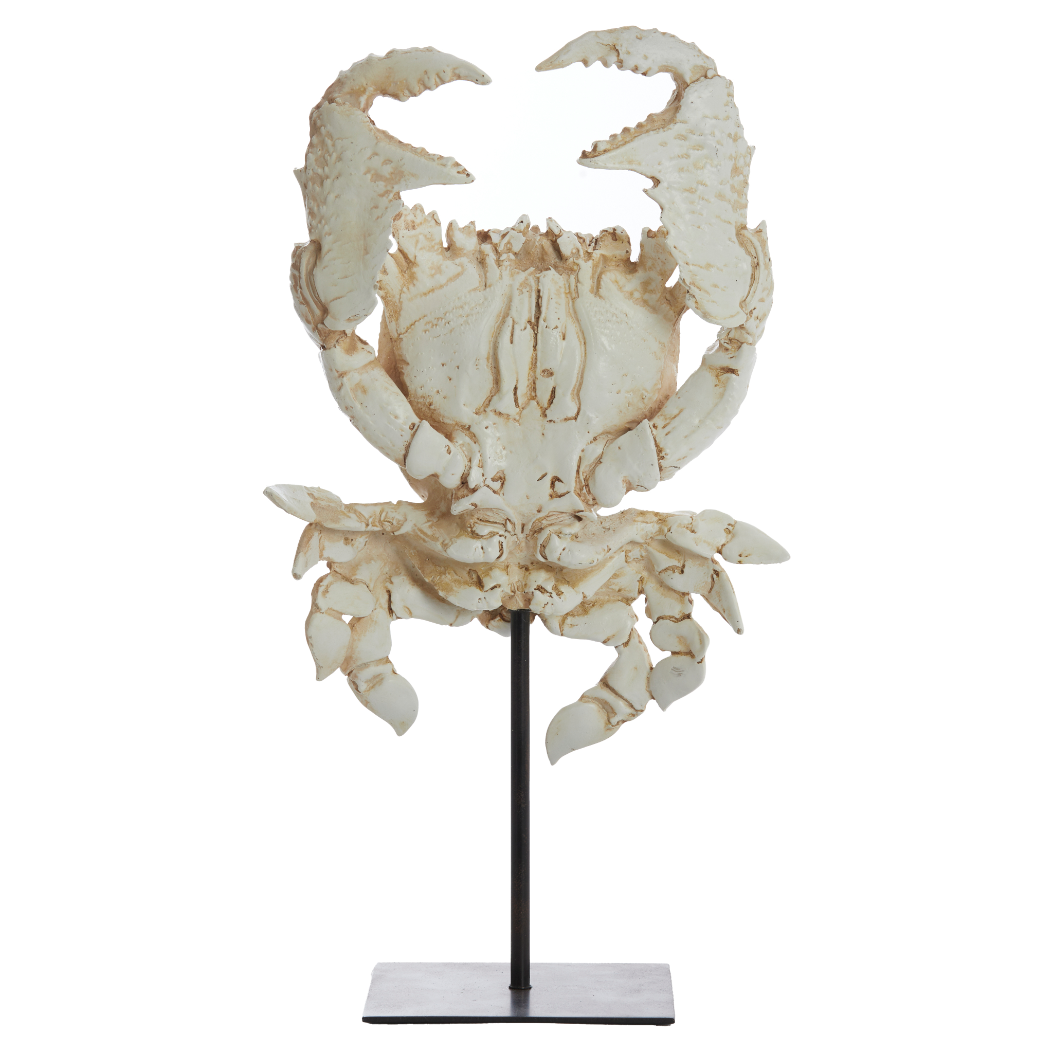 Detailansicht des "Crab" Ornaments von Light & Living auf schwarzem Fuß