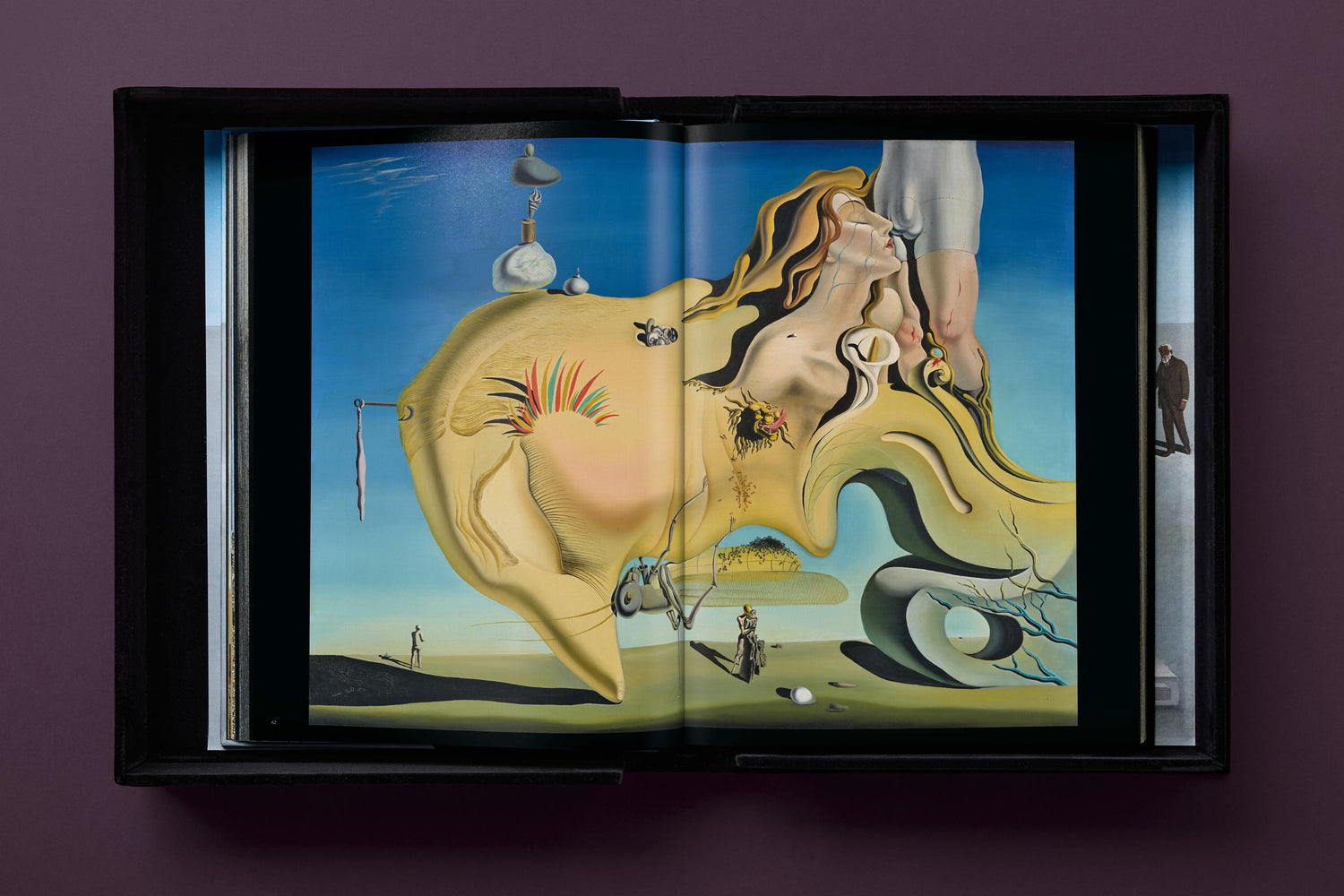 Salvador Dalí. BABY SUMO (Englische Ausgabe) von Taschen Verlag.
Ein opulentes Monument für einen der größten Künstler des 20. Jahrhunderts.
