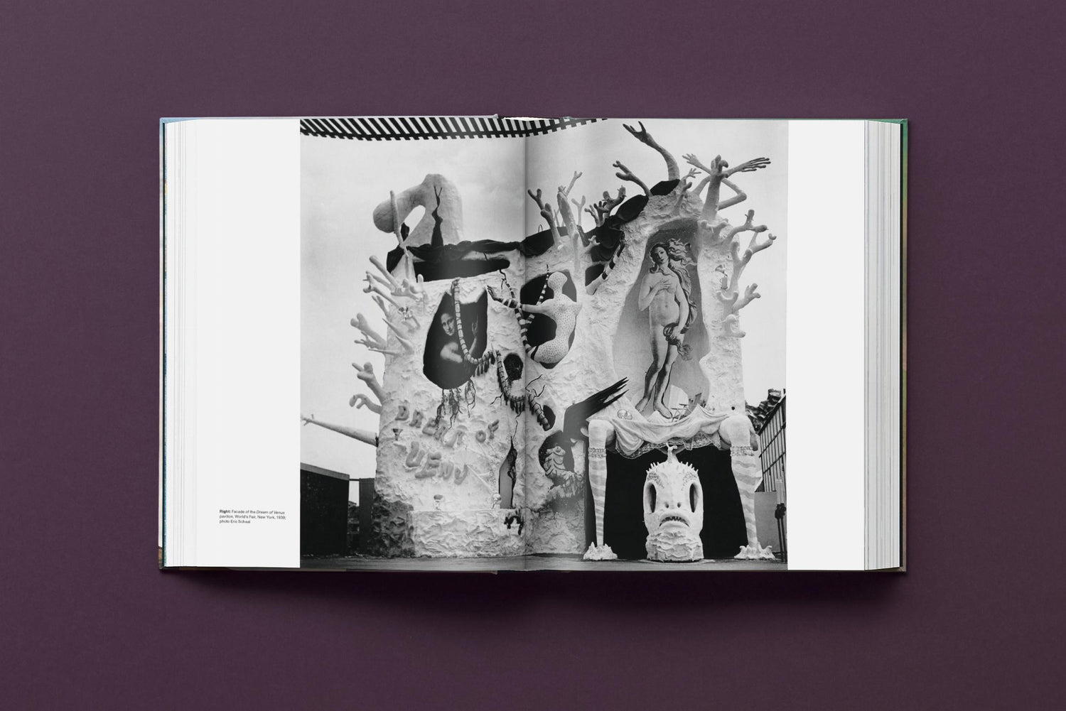 Salvador Dalí. BABY SUMO (Englische Ausgabe) von Taschen Verlag.
Ein opulentes Monument für einen der größten Künstler des 20. Jahrhunderts.