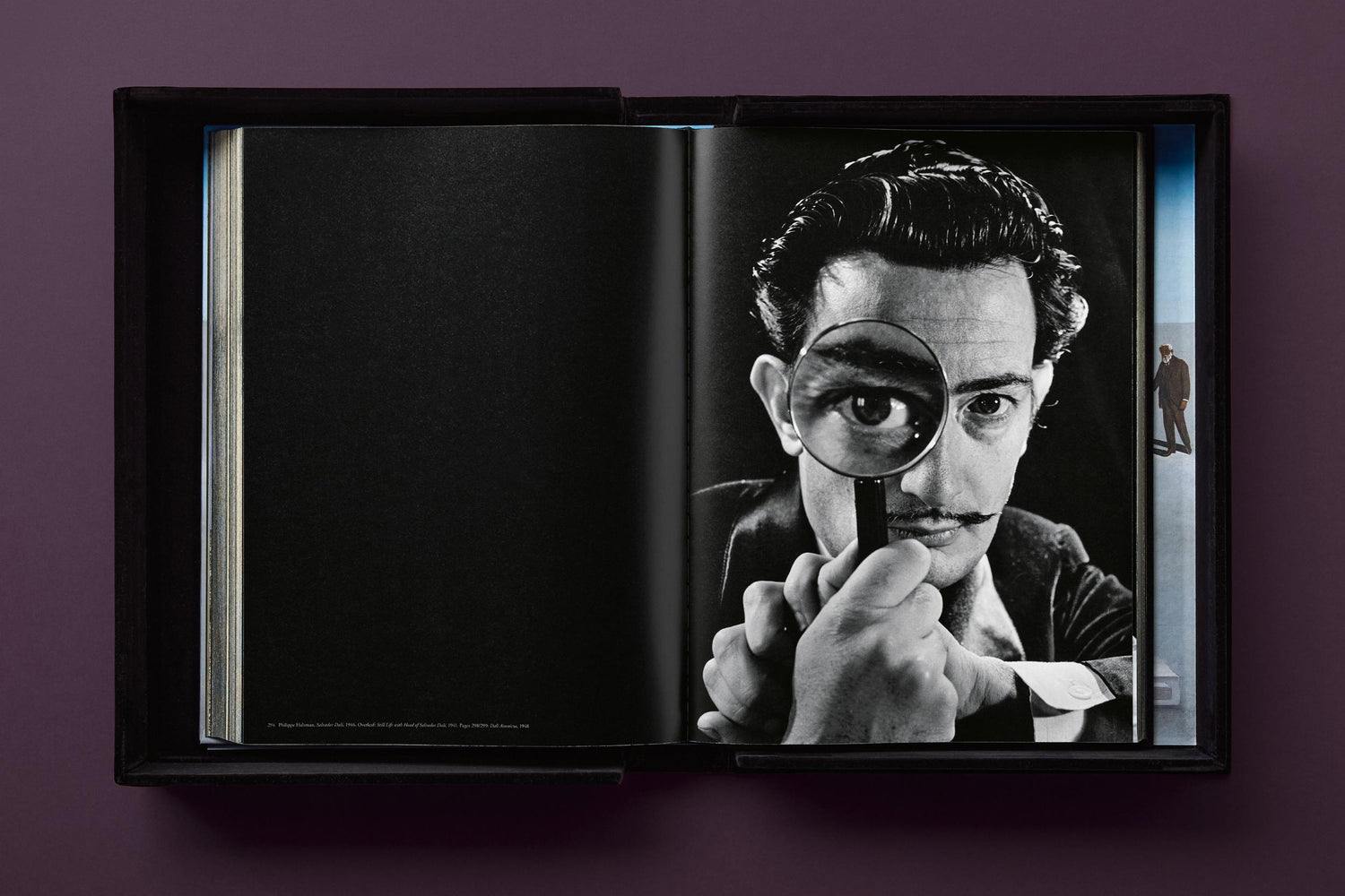 Salvador Dalí. BABY SUMO (Englische Ausgabe) von Taschen Verlag.
Ein opulentes Monument für einen der größten Künstler des 20. Jahrhunderts.