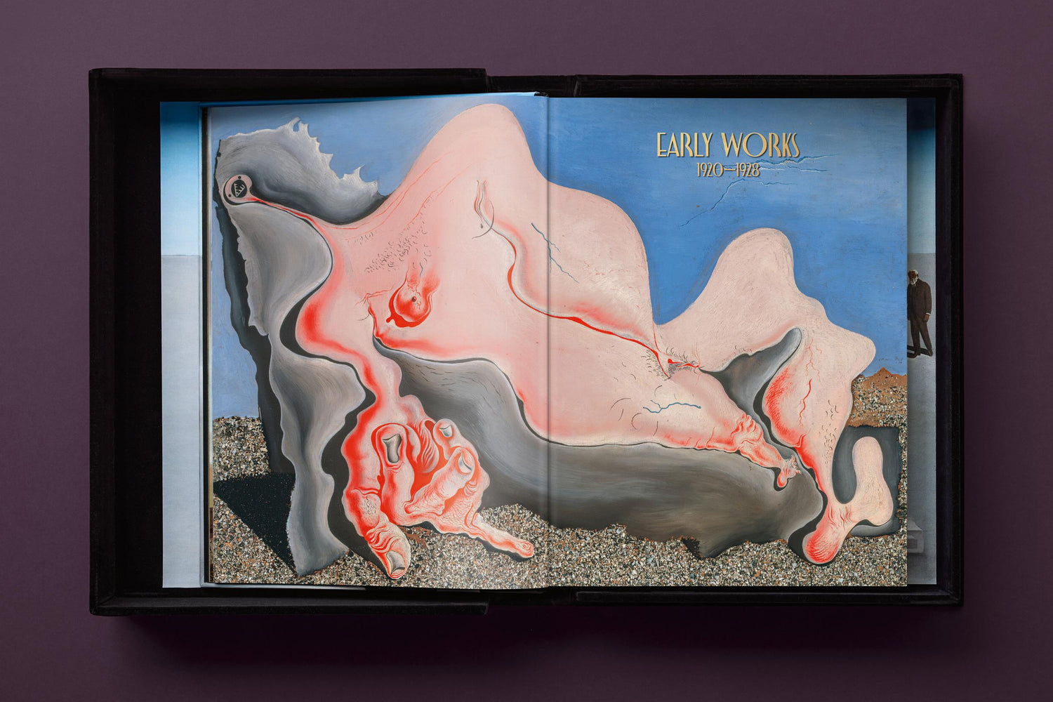 Salvador Dalí. BABY SUMO (Englische Ausgabe) von Taschen Verlag.
Ein opulentes Monument für einen der größten Künstler des 20. Jahrhunderts.