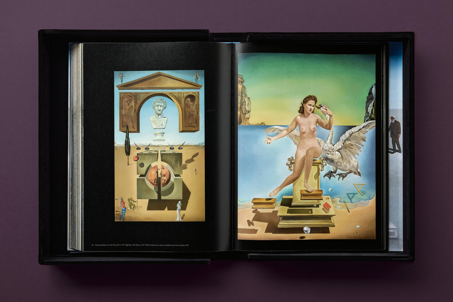 Salvador Dalí. BABY SUMO (Englische Ausgabe) von Taschen Verlag.
Ein opulentes Monument für einen der größten Künstler des 20. Jahrhunderts.