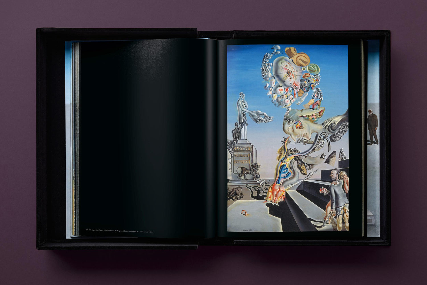 Salvador Dalí. BABY SUMO (Englische Ausgabe) von Taschen Verlag.
Ein opulentes Monument für einen der größten Künstler des 20. Jahrhunderts.