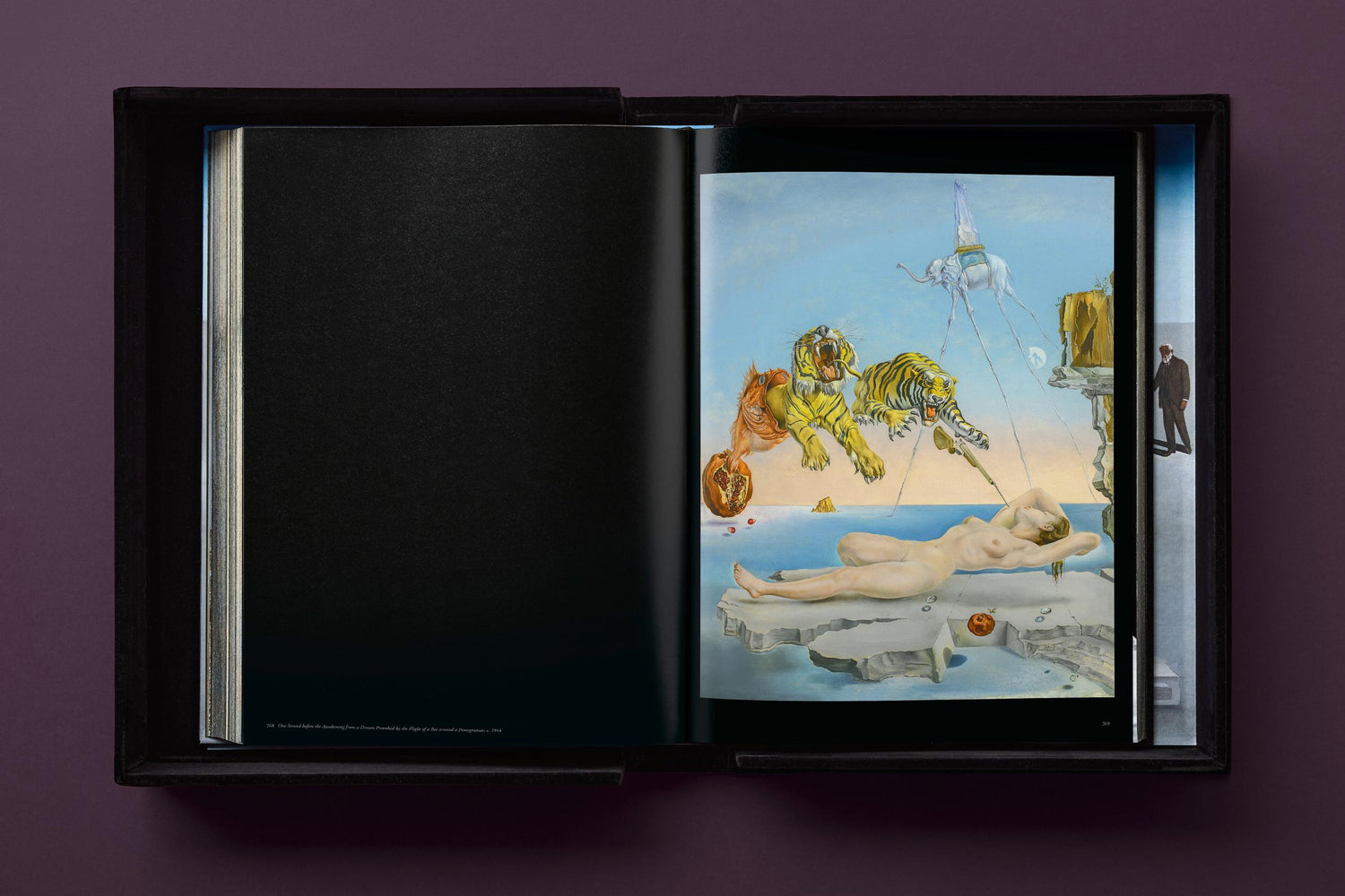 Salvador Dalí. BABY SUMO (Englische Ausgabe) von Taschen Verlag.
Ein opulentes Monument für einen der größten Künstler des 20. Jahrhunderts.