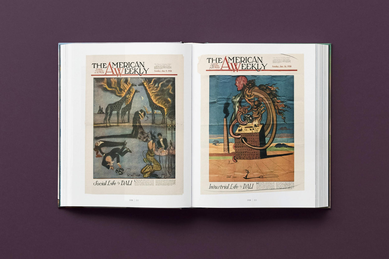 Salvador Dalí. BABY SUMO (Englische Ausgabe) von Taschen Verlag.
Ein opulentes Monument für einen der größten Künstler des 20. Jahrhunderts.