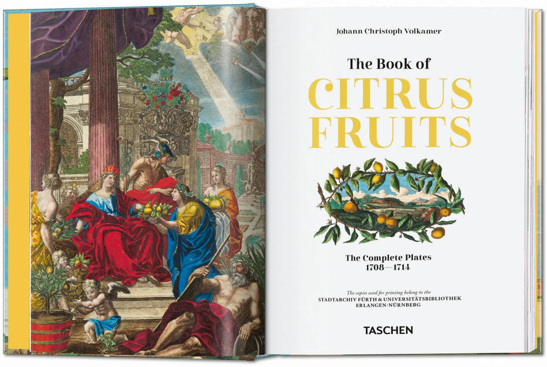 Offene Buchseiten zeigen detailreiche Illustrationen und kunsthistorische Darstellungen von Zitrusfrüchten.