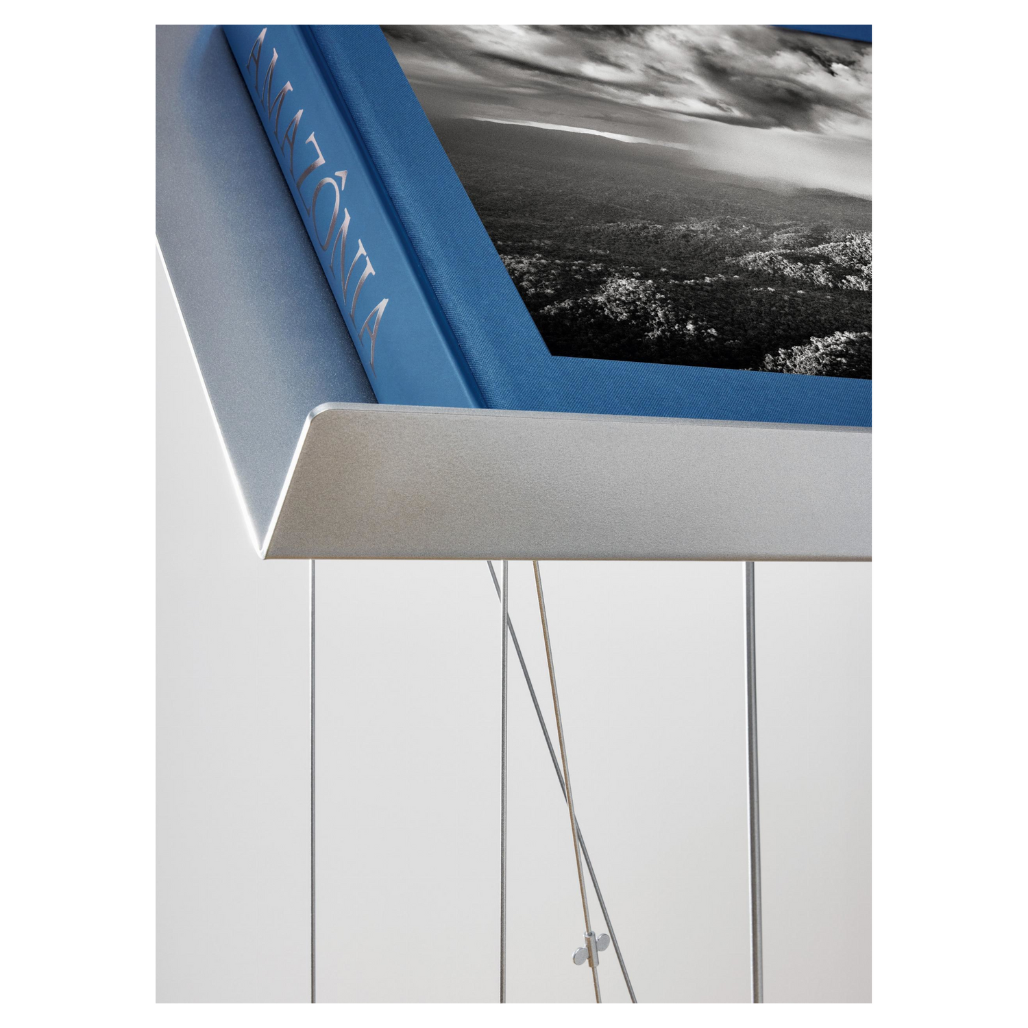 Illustration des Amazonas-Regenwalds im Buch