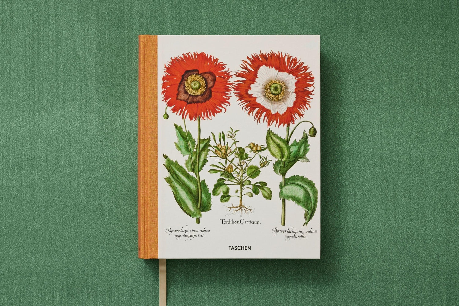 Besler. The Garden at Eichstätt mit botanischen Kupferstichdrucken