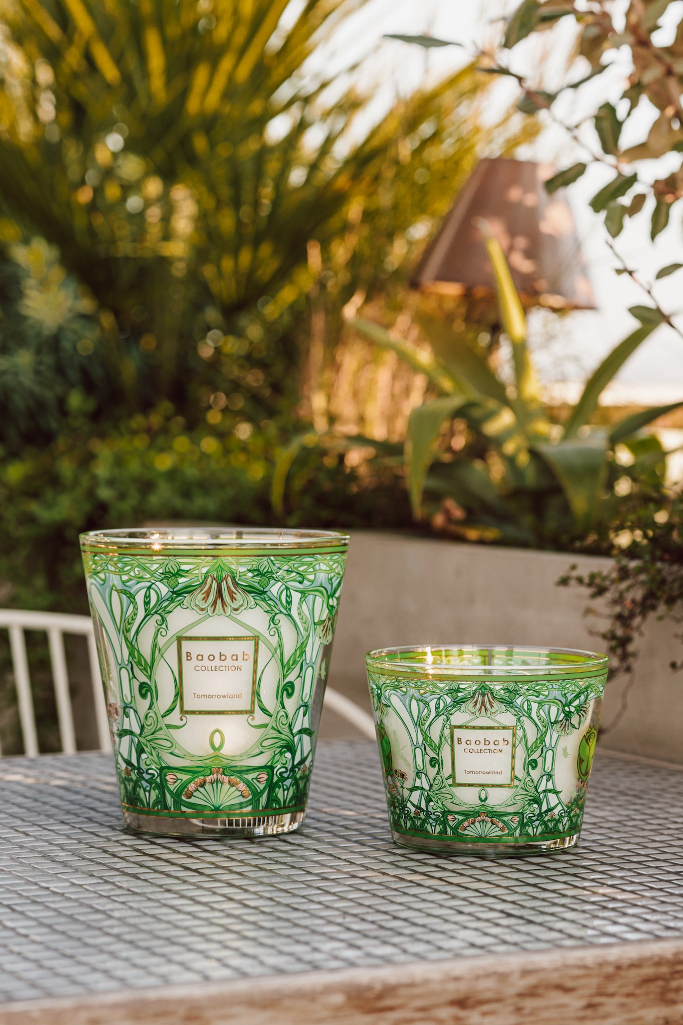 Baobab scented candle - Tomorrowland Max 16