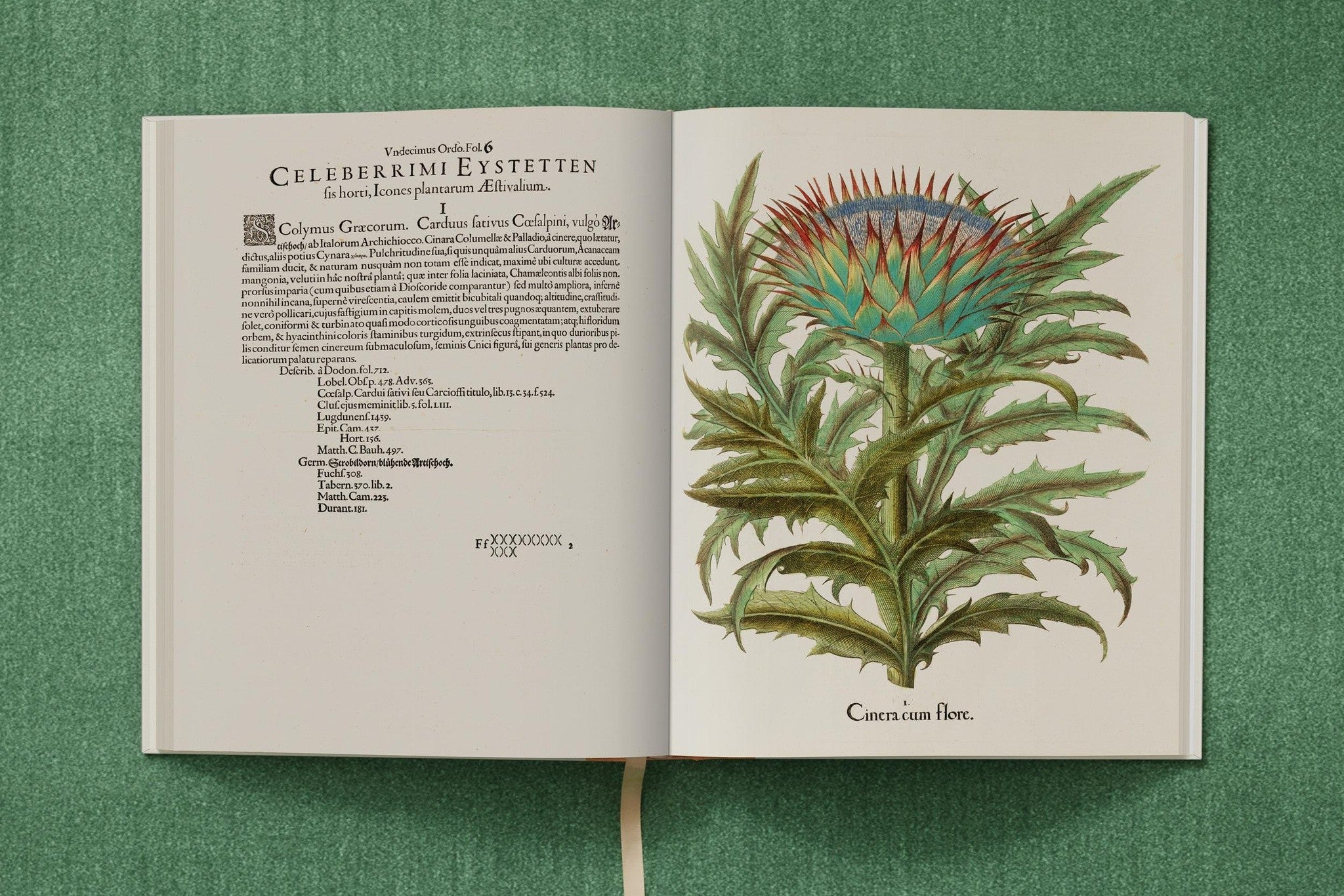 Besler. The Garden at Eichstätt für die private Bibliothek