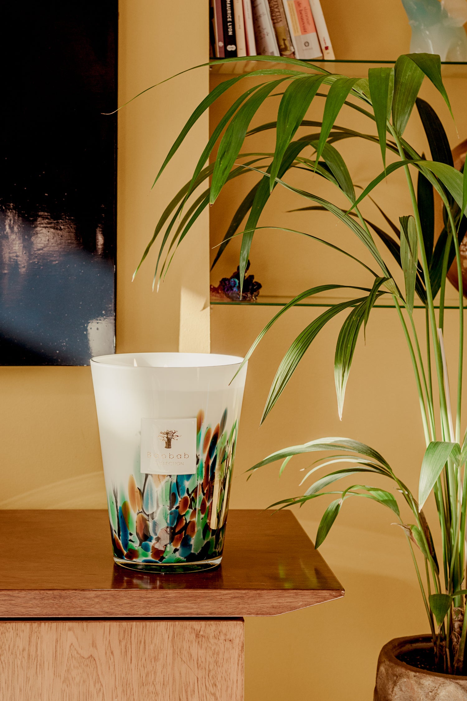 Baobab scented candle Rainforest AMAZONIA Max 24