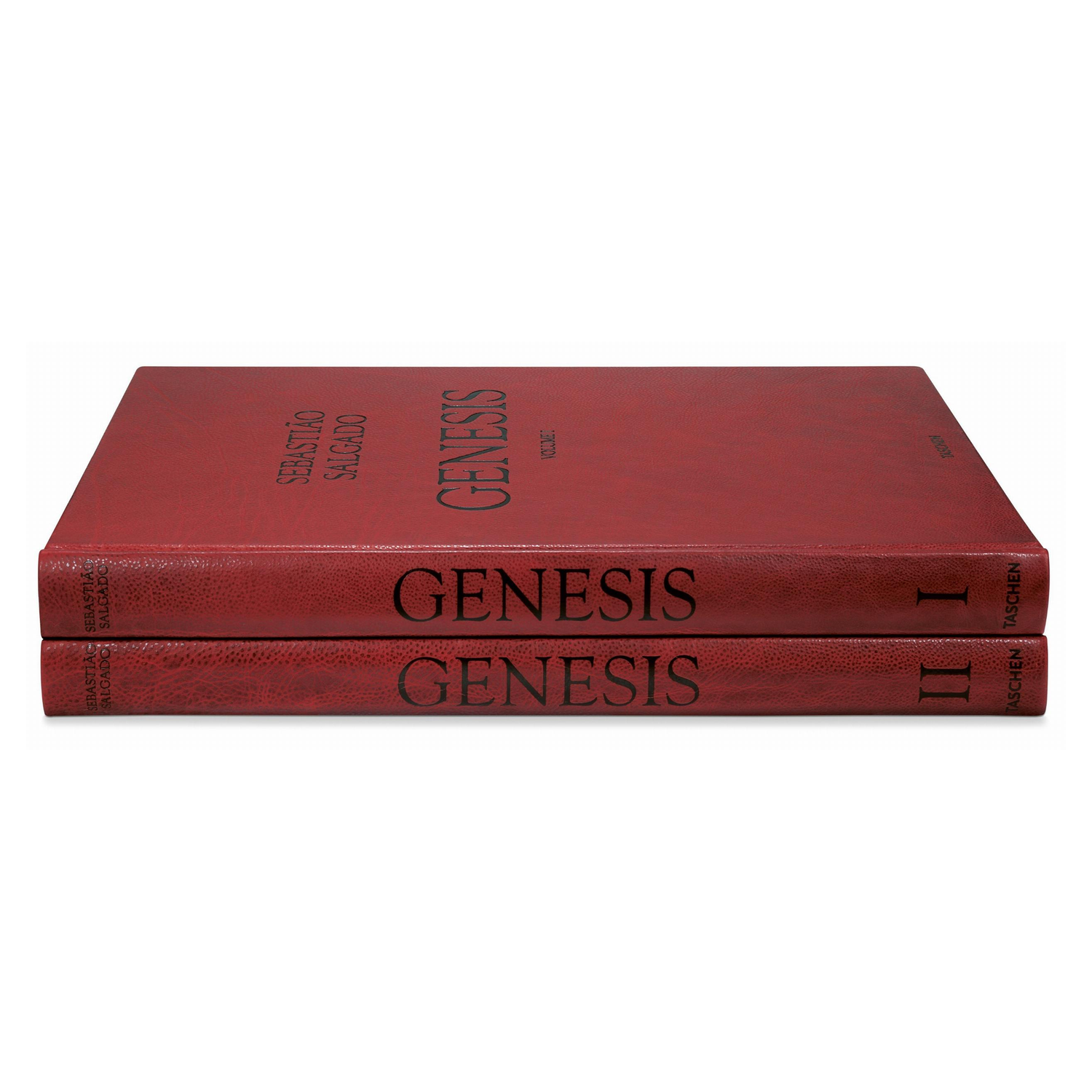 Sebastião Salgado: Großformatige Panoramaaufnahme aus dem GENESIS-Bildband