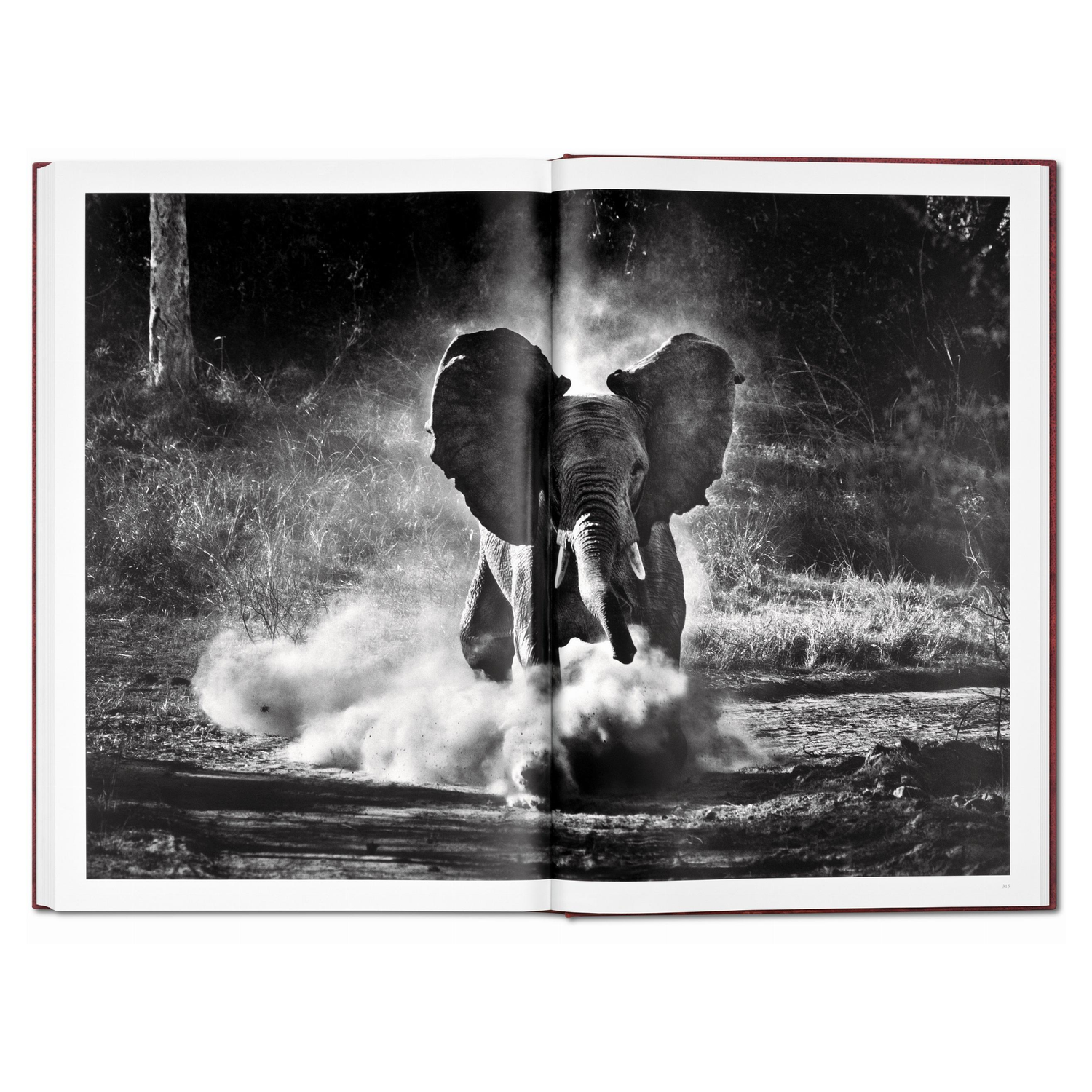 Signierter und nummerierter Print von Sebastião Salgado