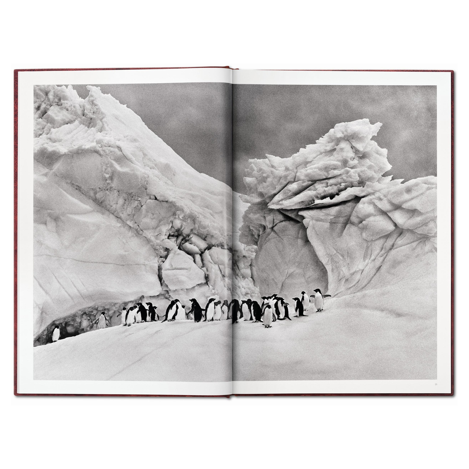 Präsentation der GENESIS Edition mit Booklet