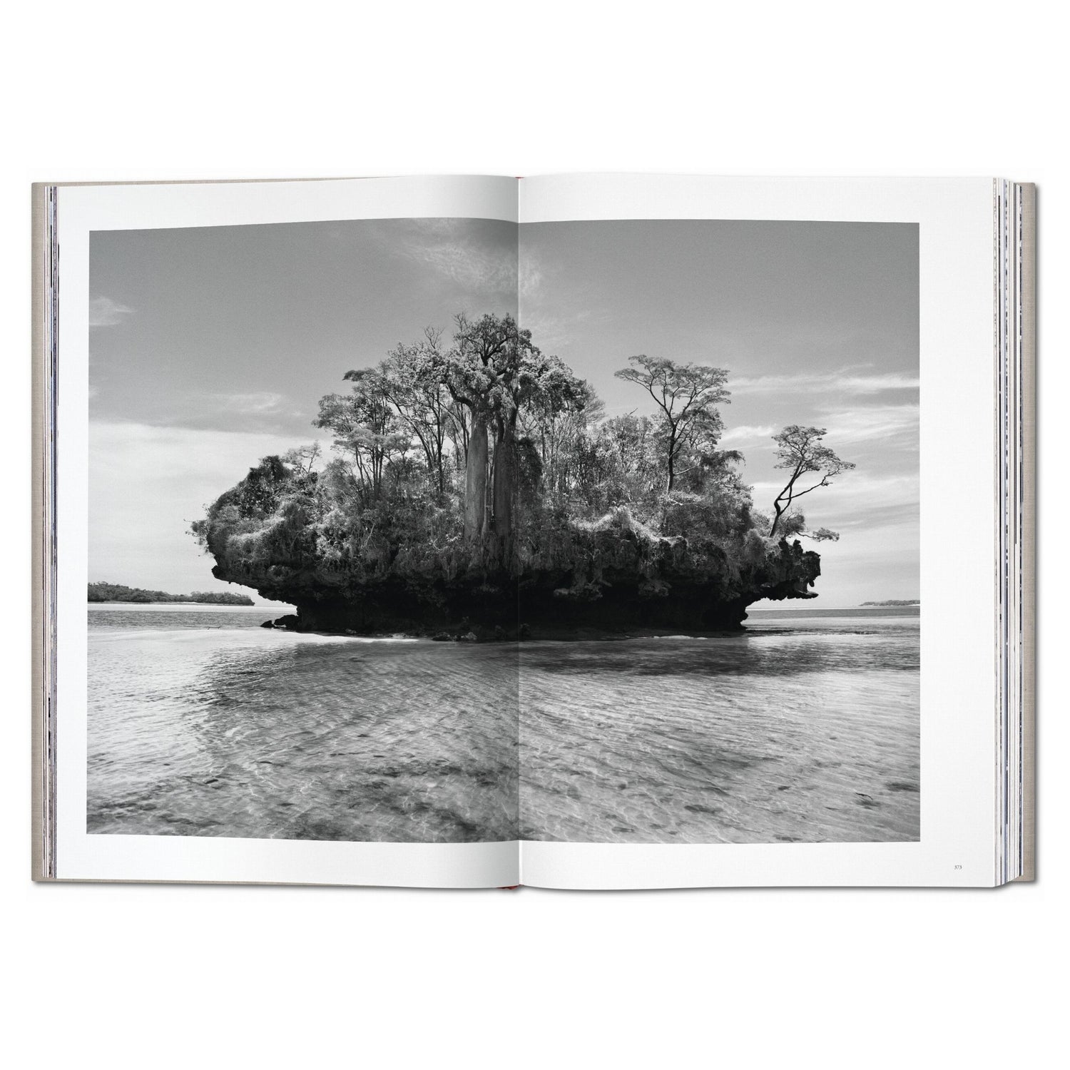 Exklusiver Fotoband Genesis mit beeindruckenden Natur- und Tierfotografien von Sebastião Salgado