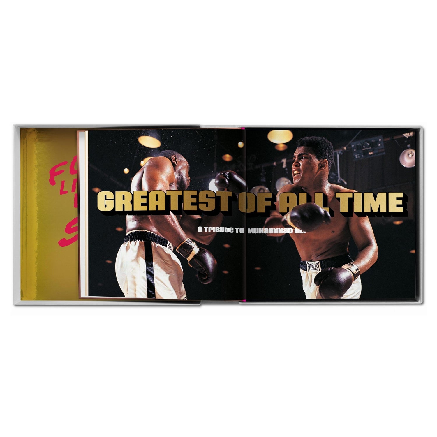 GOAT SUMO mit Jeff Koons&