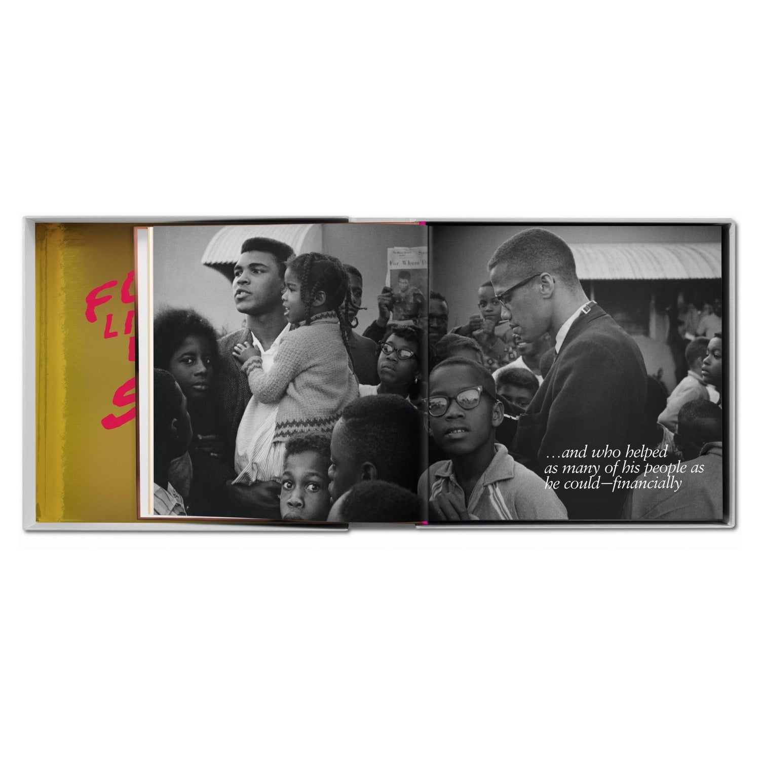 GOAT SUMO limitierte Collector&