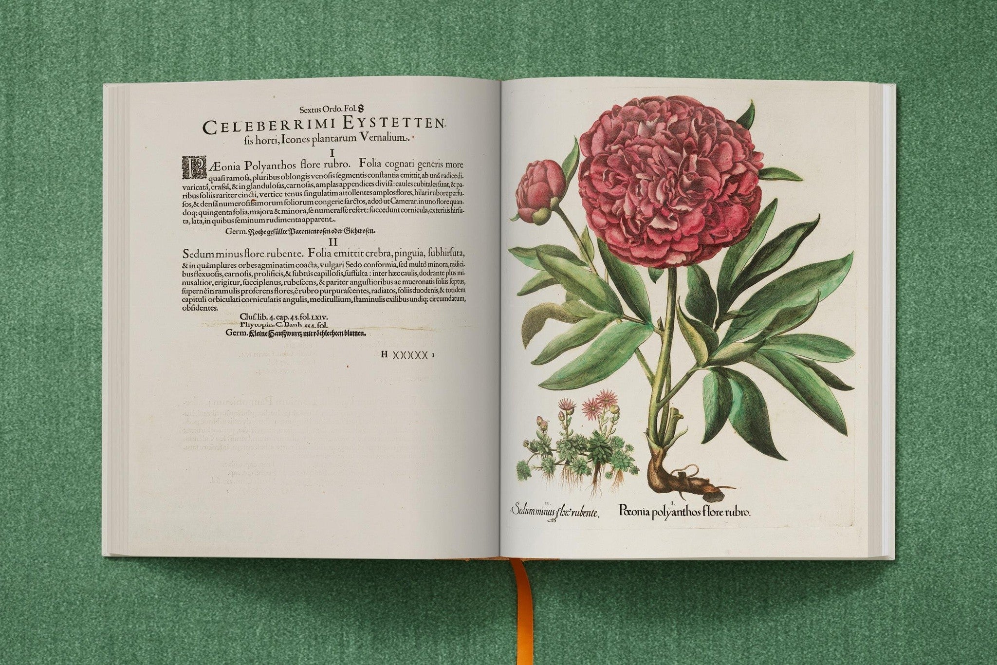 Besler. The Garden at Eichstätt – limitierte Erstauflage