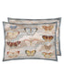 Kissen BUTTERFLY STUDIES – John Derian for Designers Guild