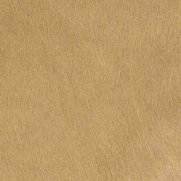 Kuhfell Teppich Champagner Beige