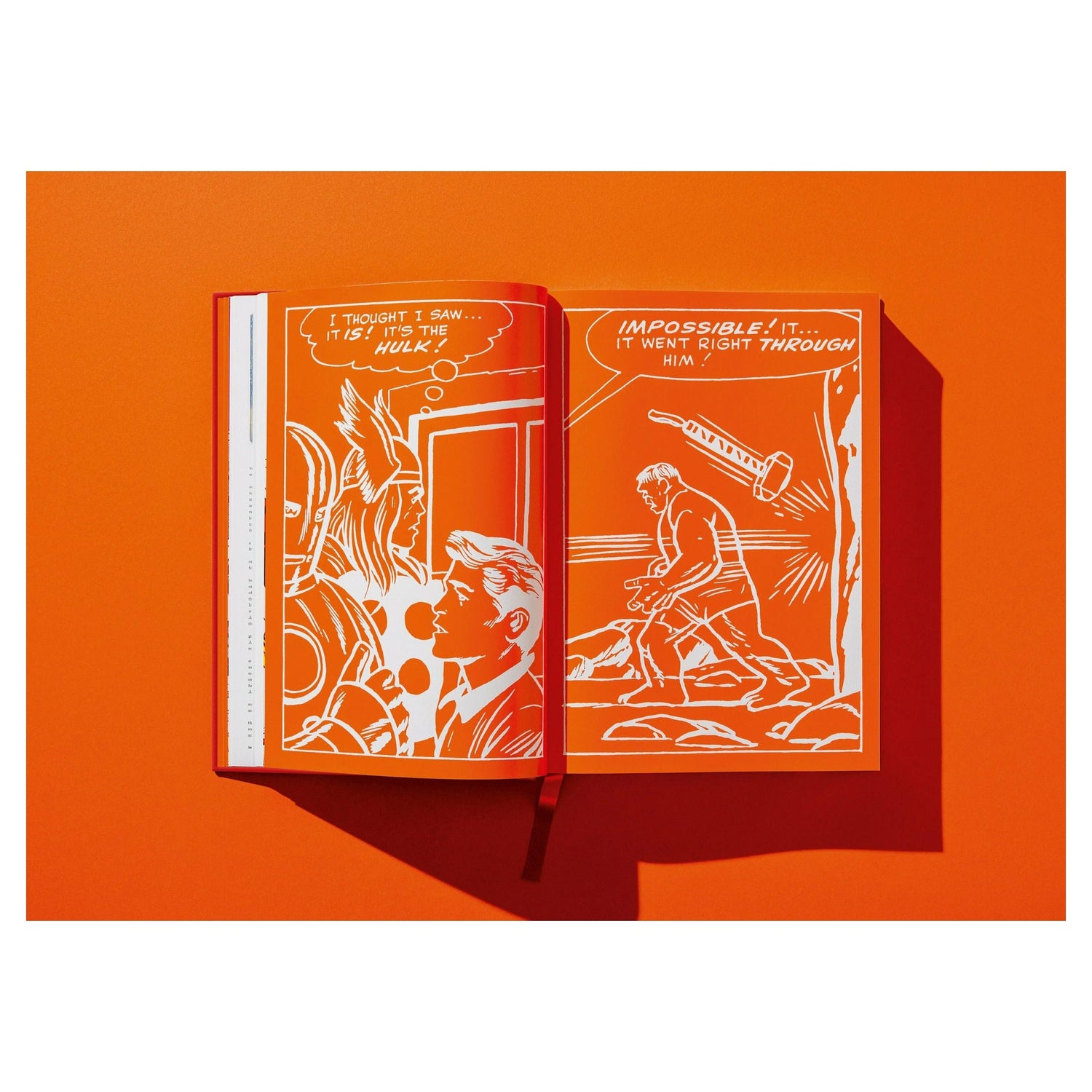 Detailfoto der strukturierten Buchoberfläche