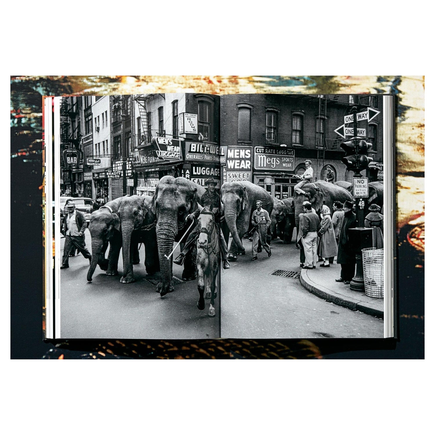 Porträtaufnahmen im Reportagestil