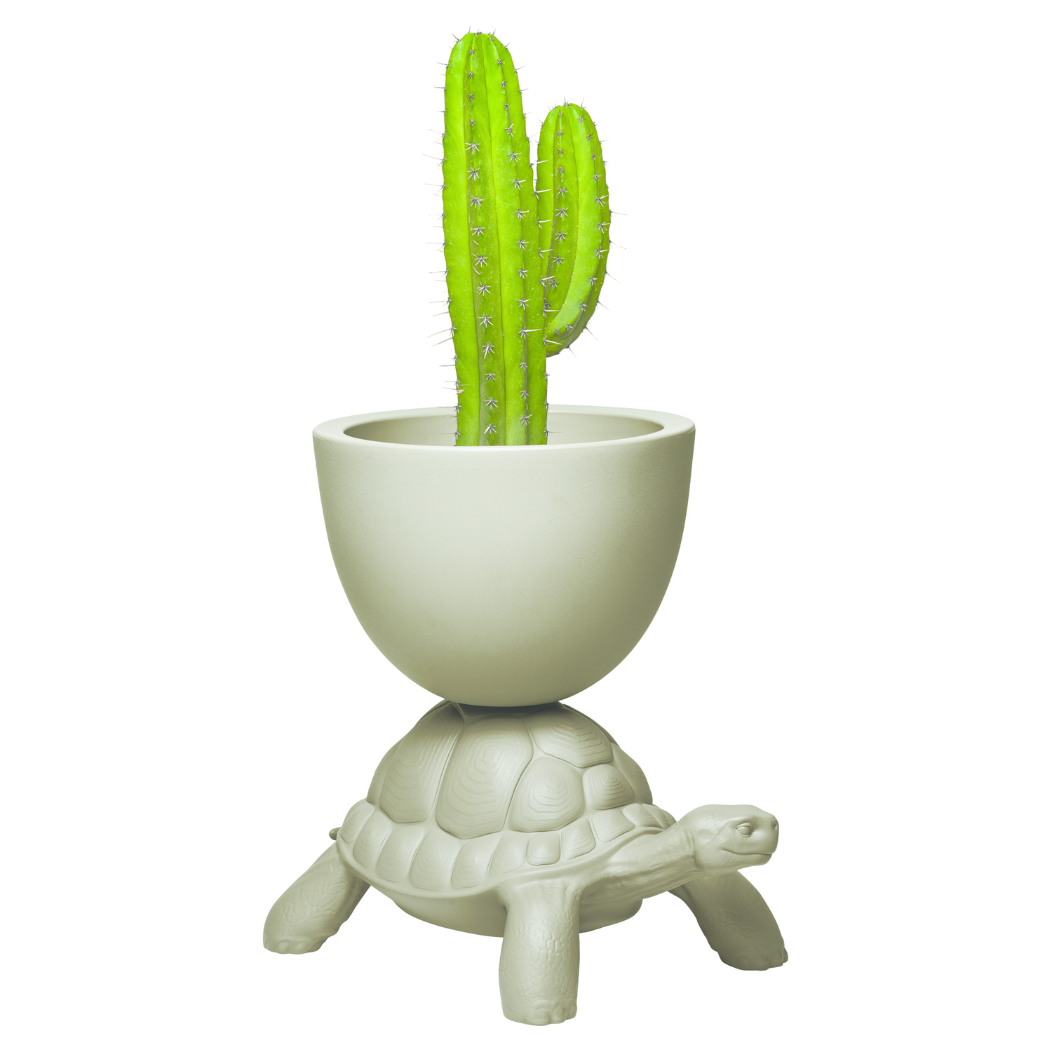 Grauer TURTLE CARRY Pflanzentopf von Qeeboo mit Pflanzschale auf Schildkrötenrücken