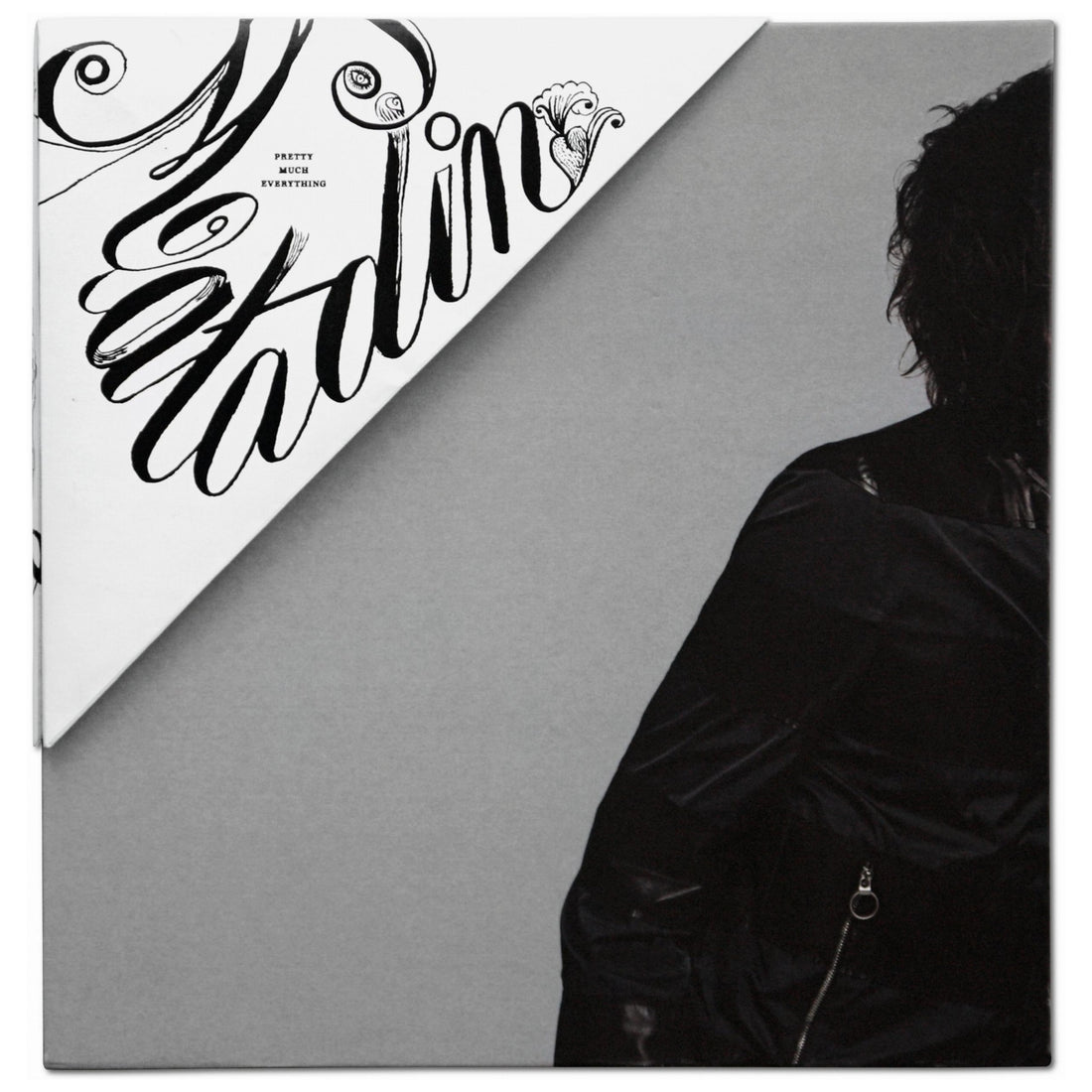 PRETTY MUCH EVERYTHING Buchcover von Inez van Lamsweerde