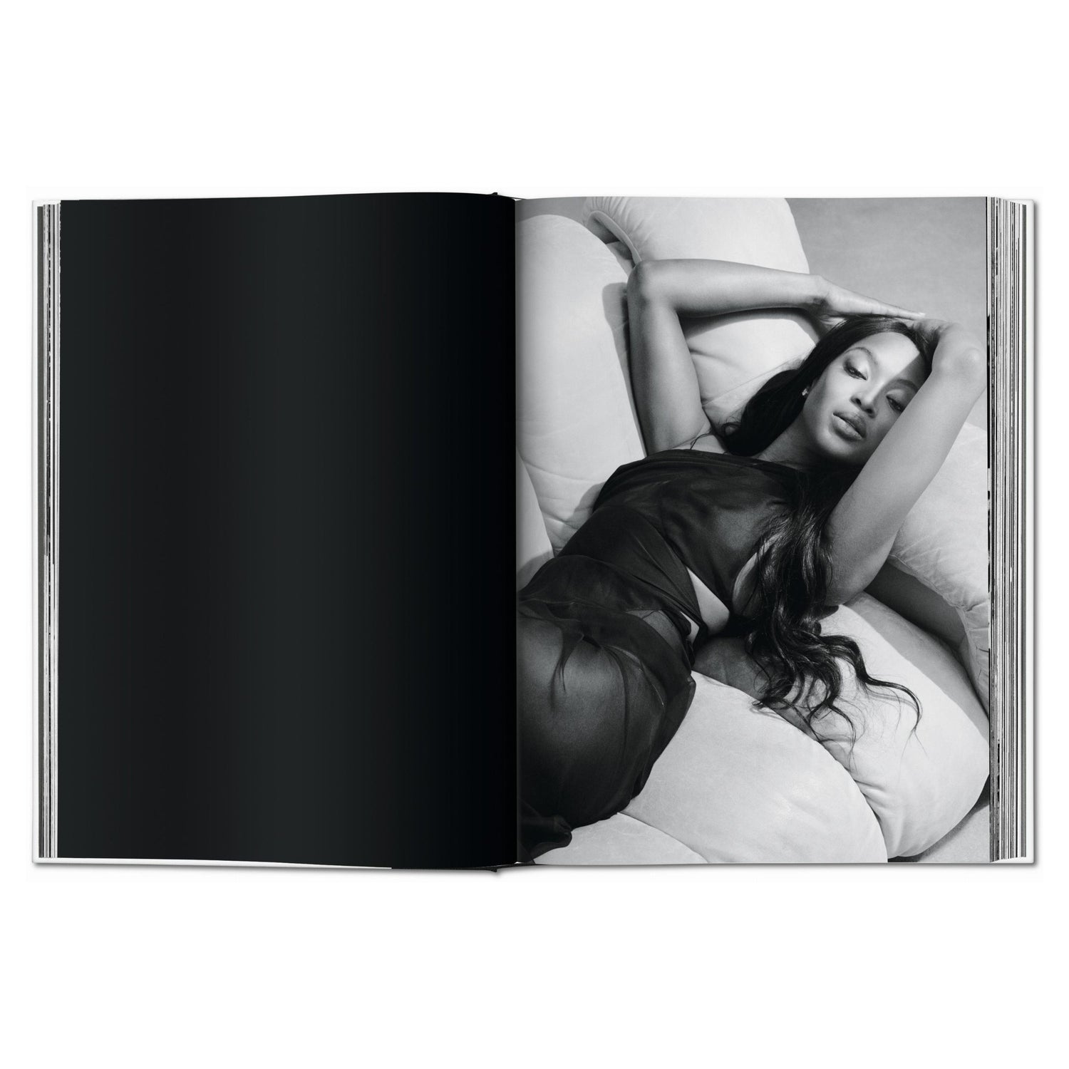 Detailansicht der Rose - c&