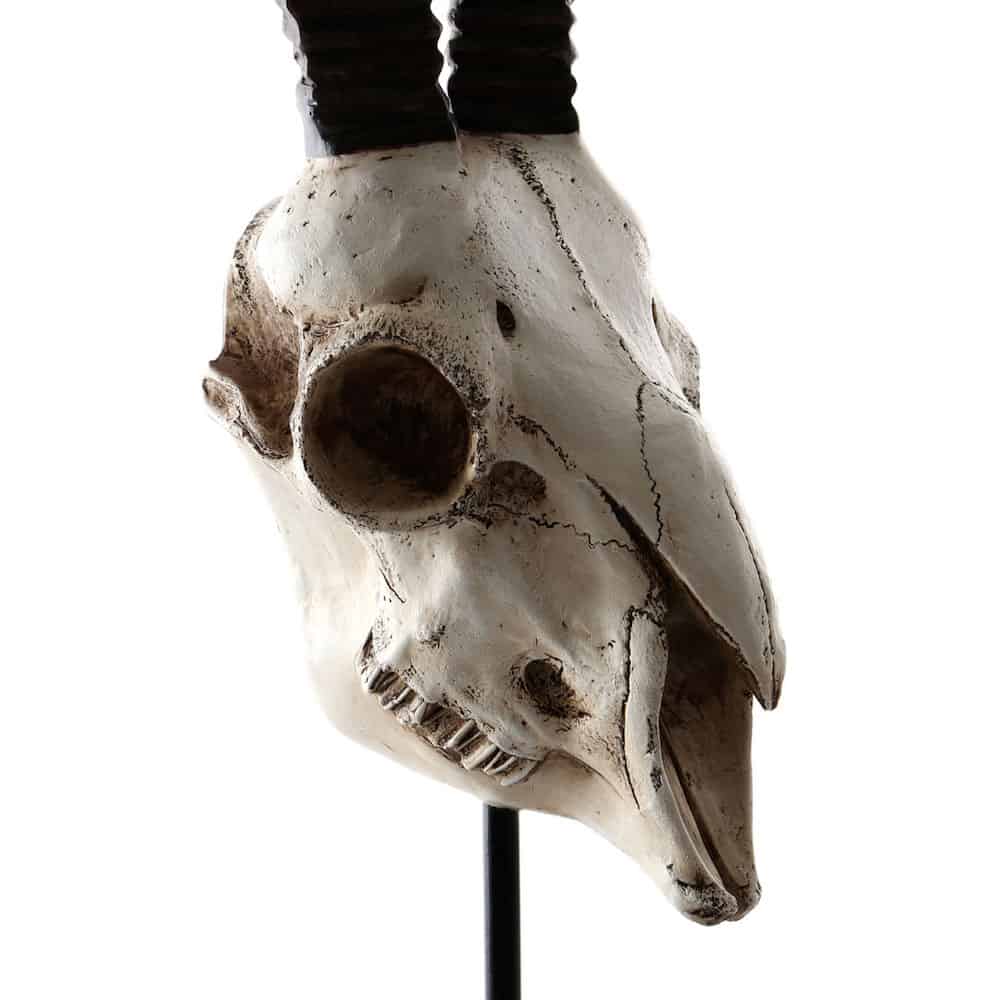 Skulptur GOAT Ziegenkopf