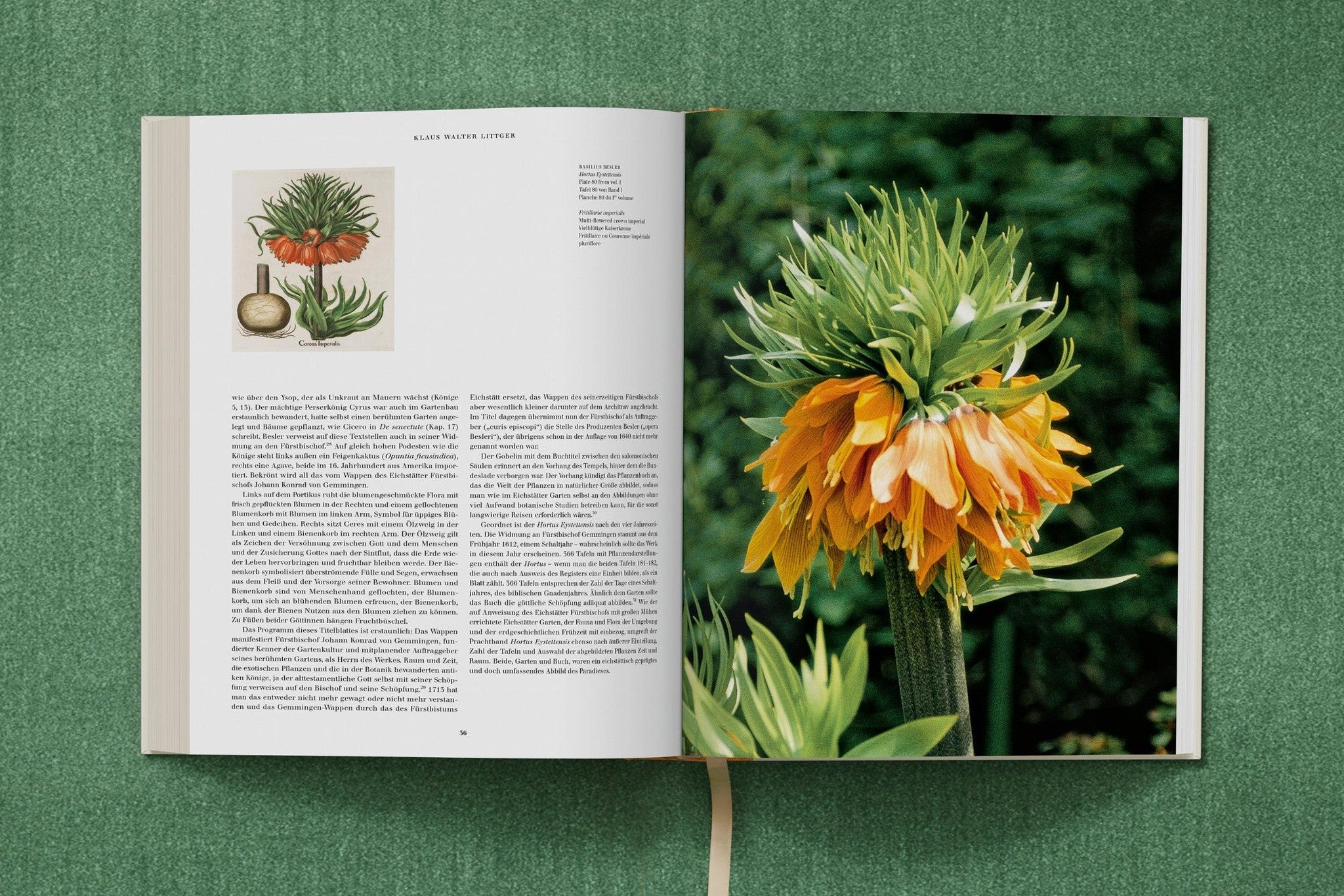 Besler. The Garden at Eichstätt botanische Kunst im Buchformat