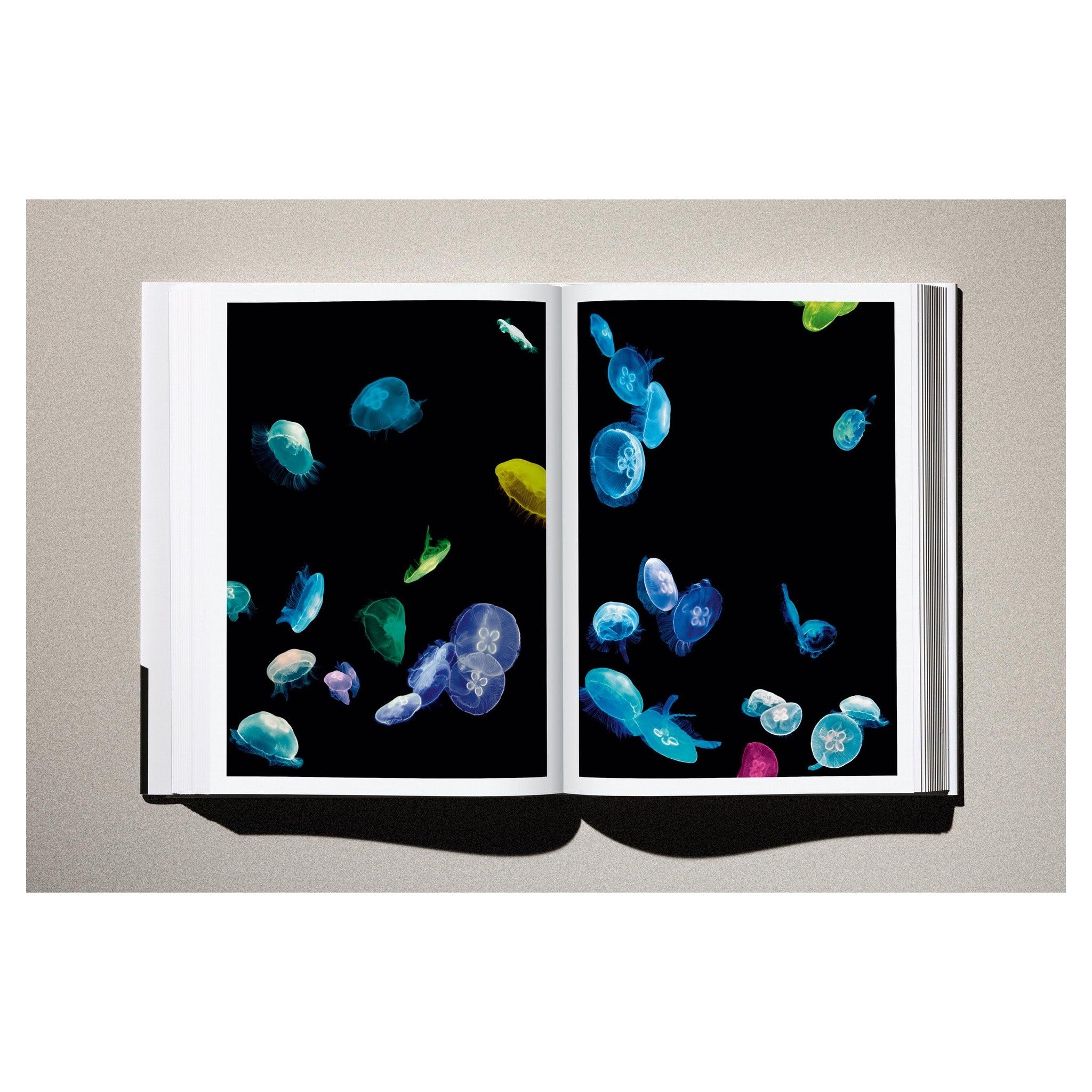 Offene Ansicht des Buches „Kaos“ - simulierte Produktdarstellung.