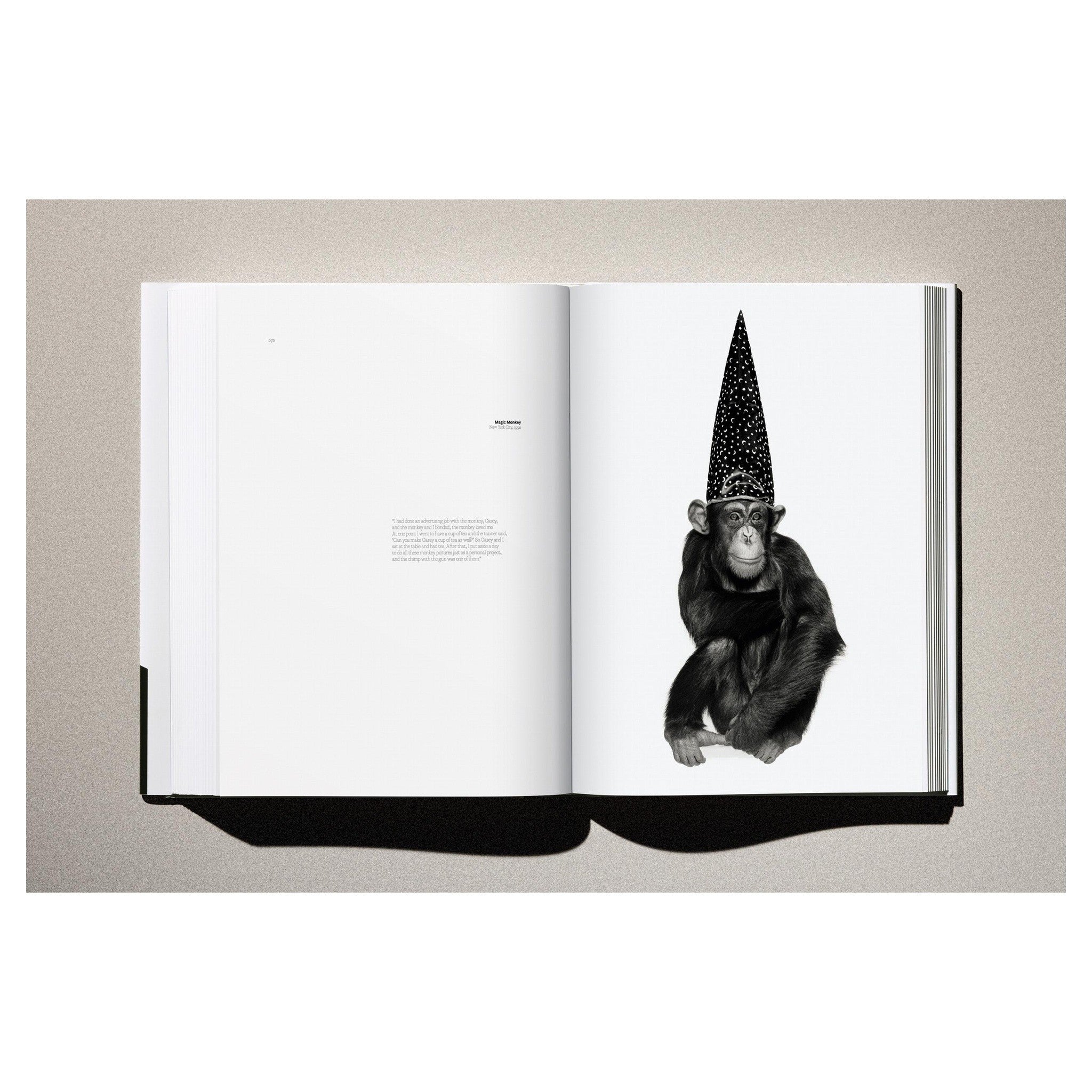 Der aufrecht stehende Band „Kaos“ im minimalistischen Set.