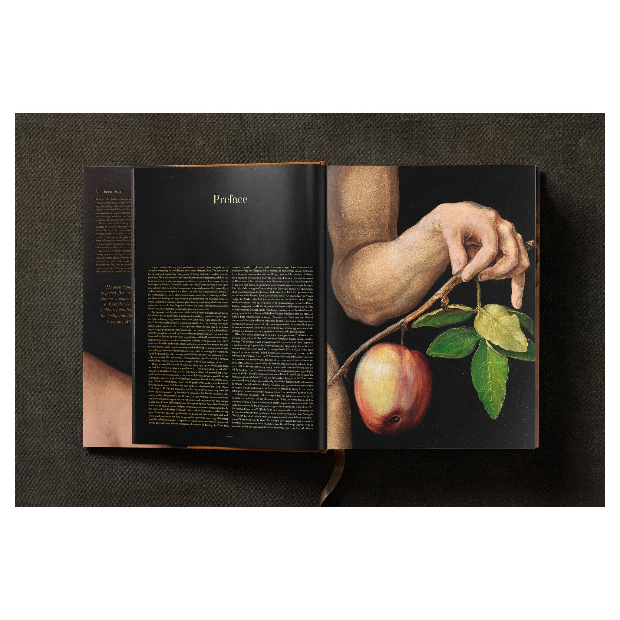 Frontaufnahme des Buches „Sämtliche Gemälde – Dürer“.