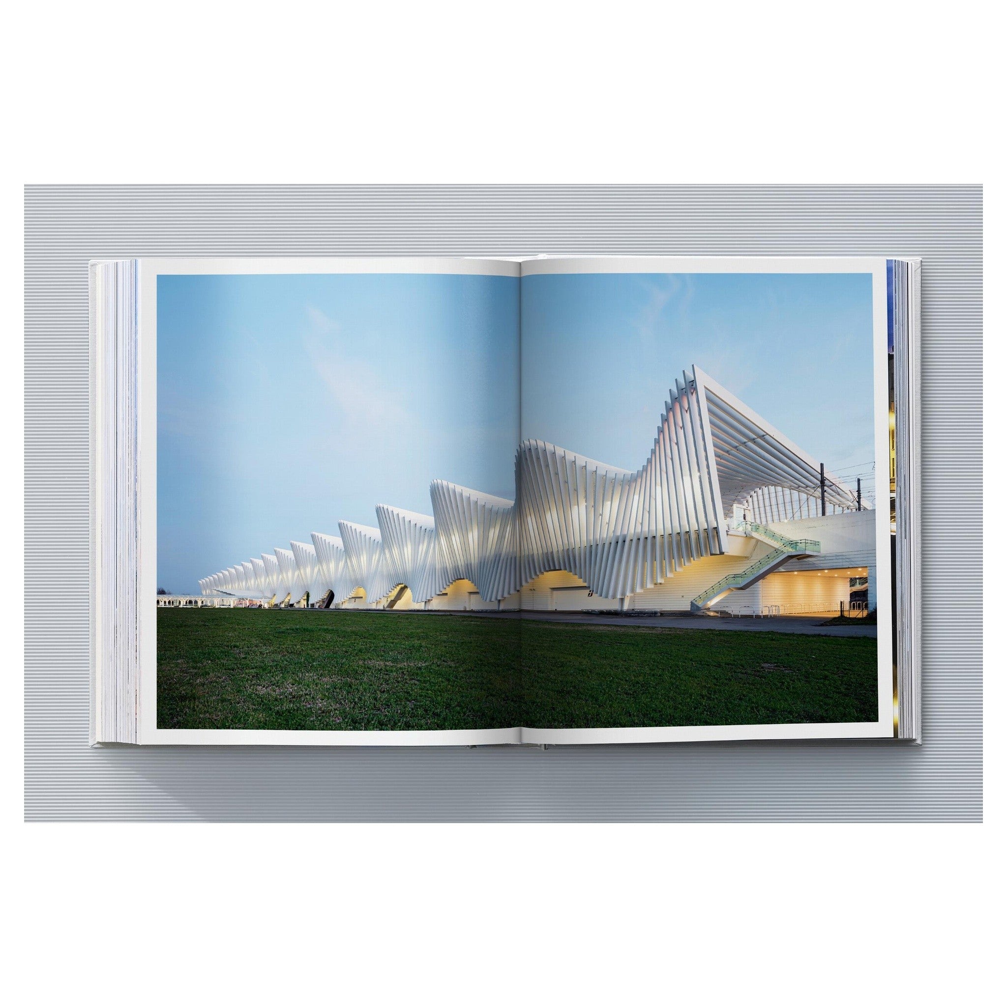 Taschenbuch Calatrava Kunst und Ingenieurwesen