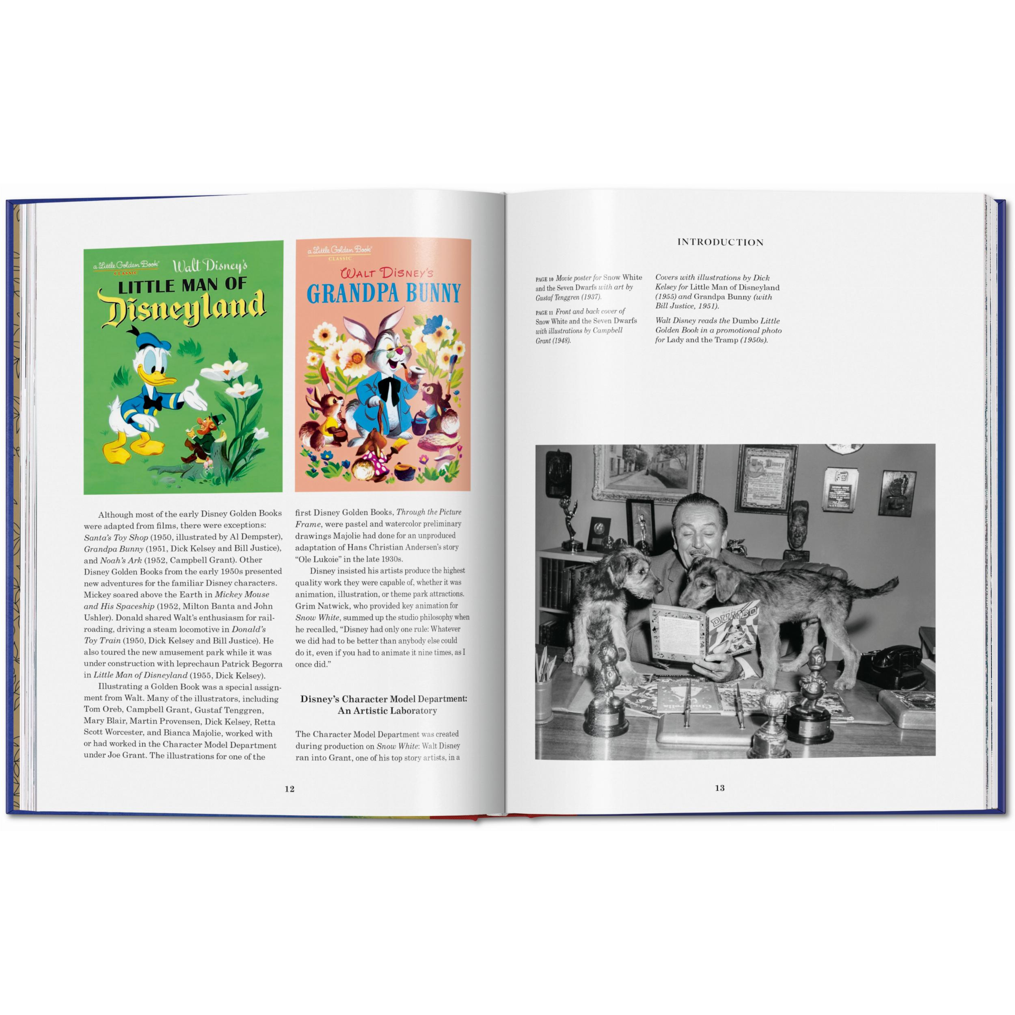 Disney Buch Pinocchio Illustration