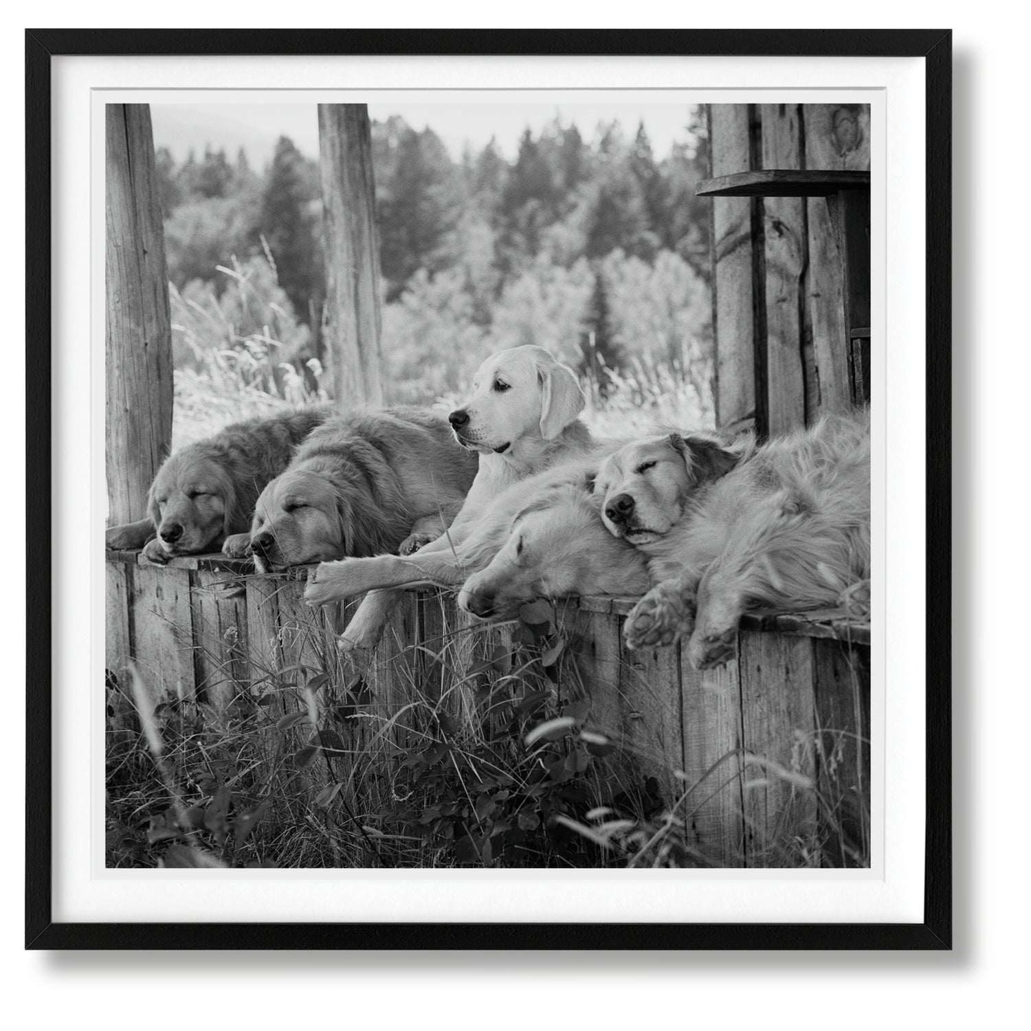 Luxuriöser Schuber des Bruce Weber Bildbands – limitierte Sammleredition