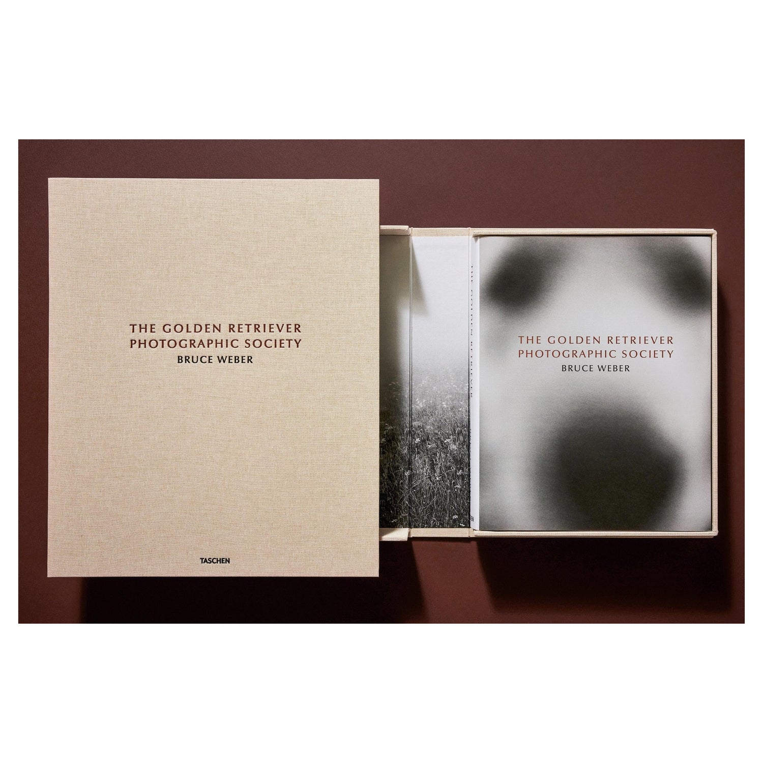 Golden Retriever entspannen auf der Little Bear Ranch – Bruce Weber Fotografie