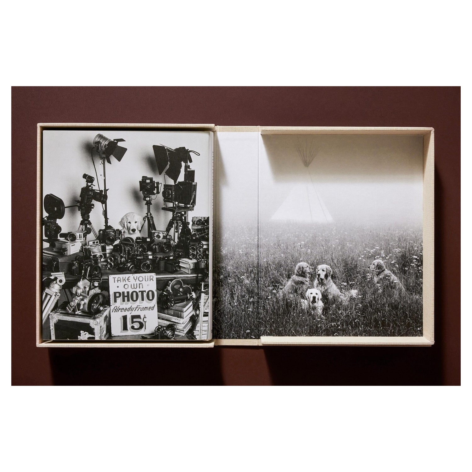 Bruce Webers ikonische Hundefotografie – Ruhe und Gelassenheit in Montana