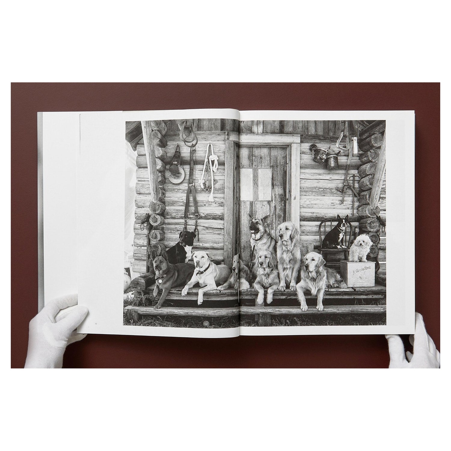 Signierter Print von &