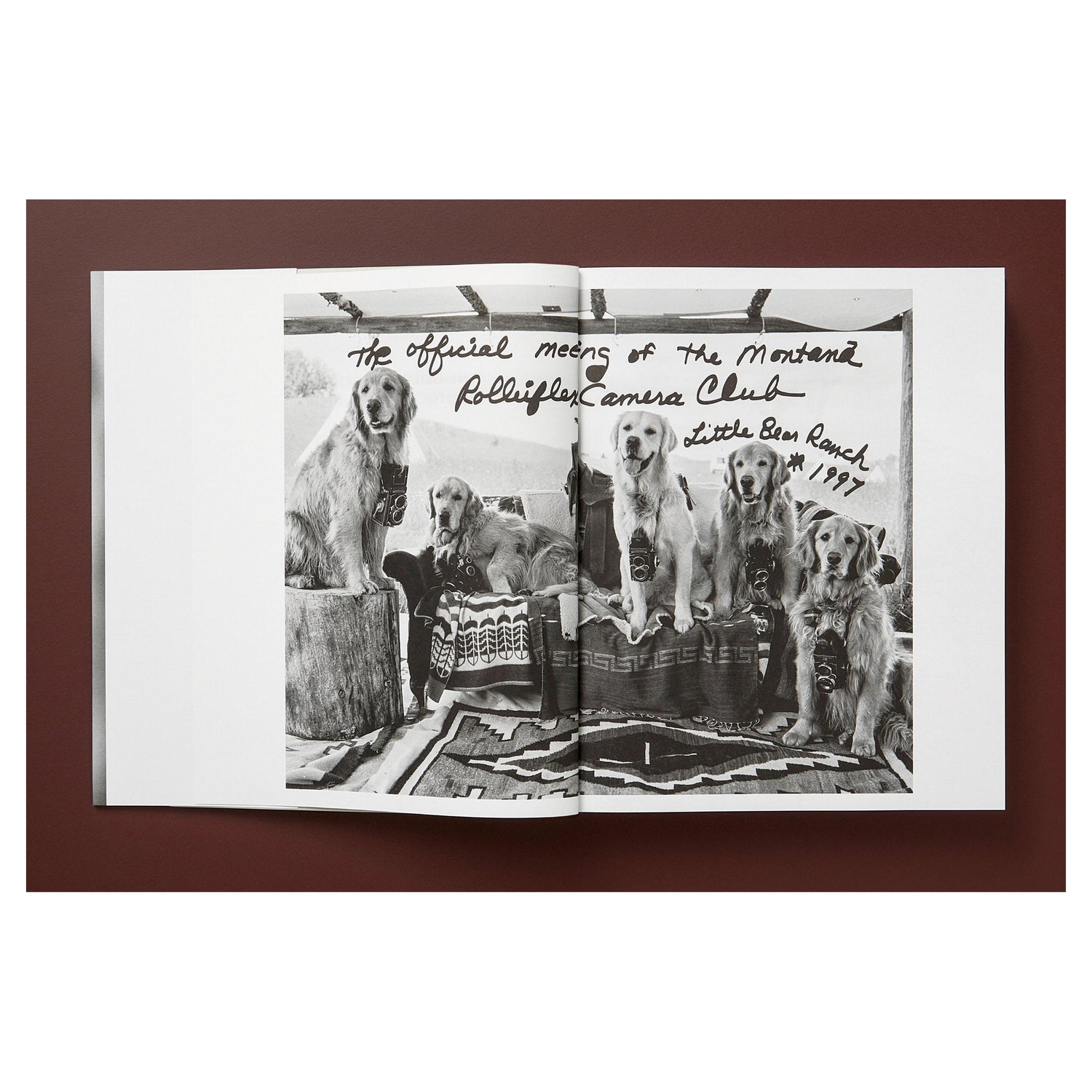 Stimmungsvolle Schwarz-Weiß-Fotografie – Golden Retriever ruhend in Montana