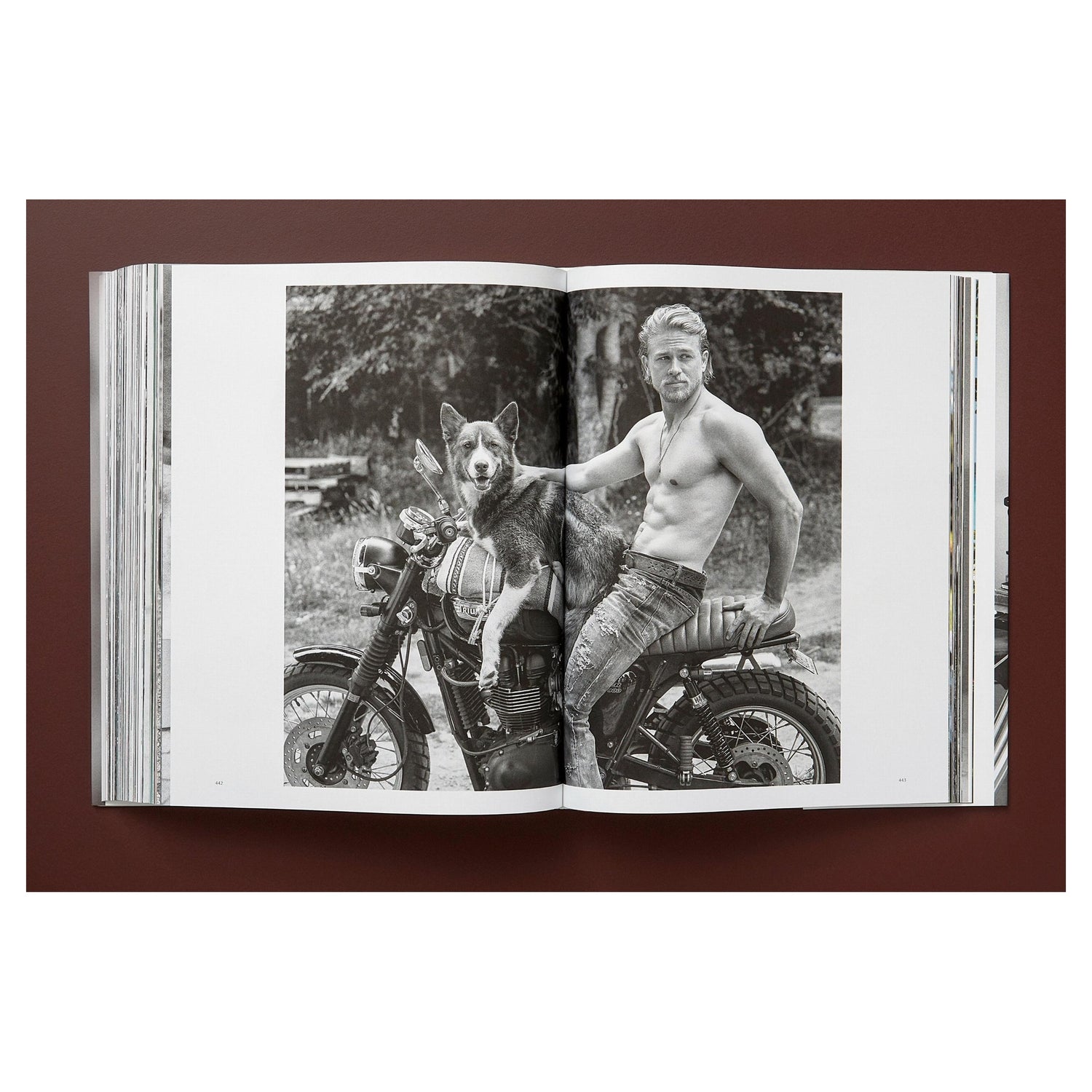 Bruce Weber Art Edition Cover – Golden Retriever auf Little Bear Ranch