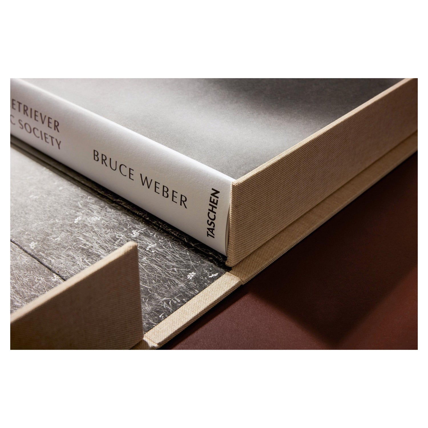 Golden Retriever Gruppe in atmosphärischer Landschaft – Bruce Weber