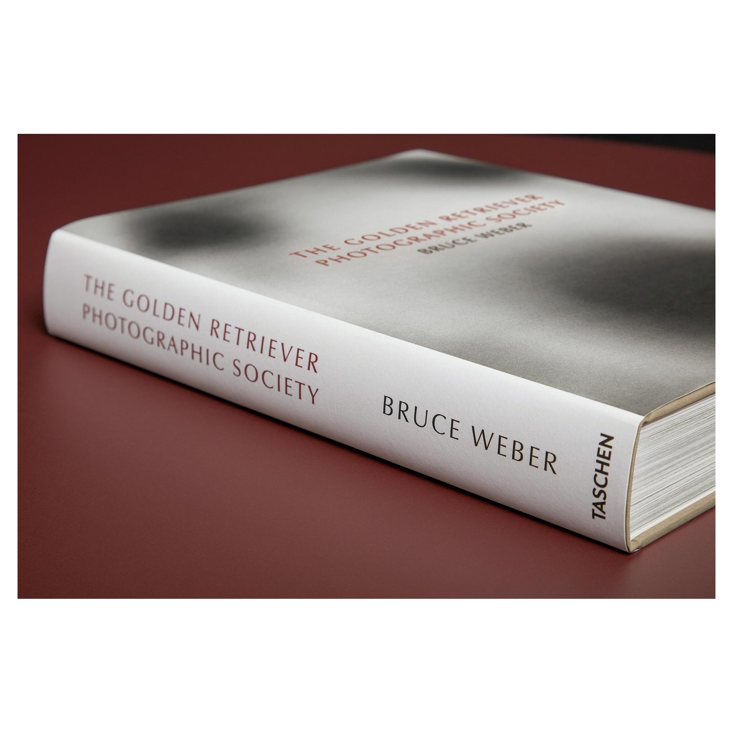 Golden Retriever in der Natur – idyllische Fotografie von Bruce Weber