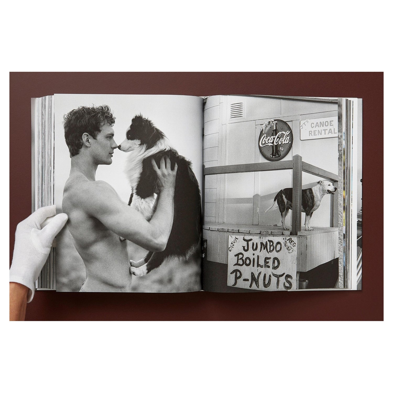 Nahaufnahme der Seiten von THE GOLDEN RETRIEVER PHOTOGRAPHIC SOCIETY